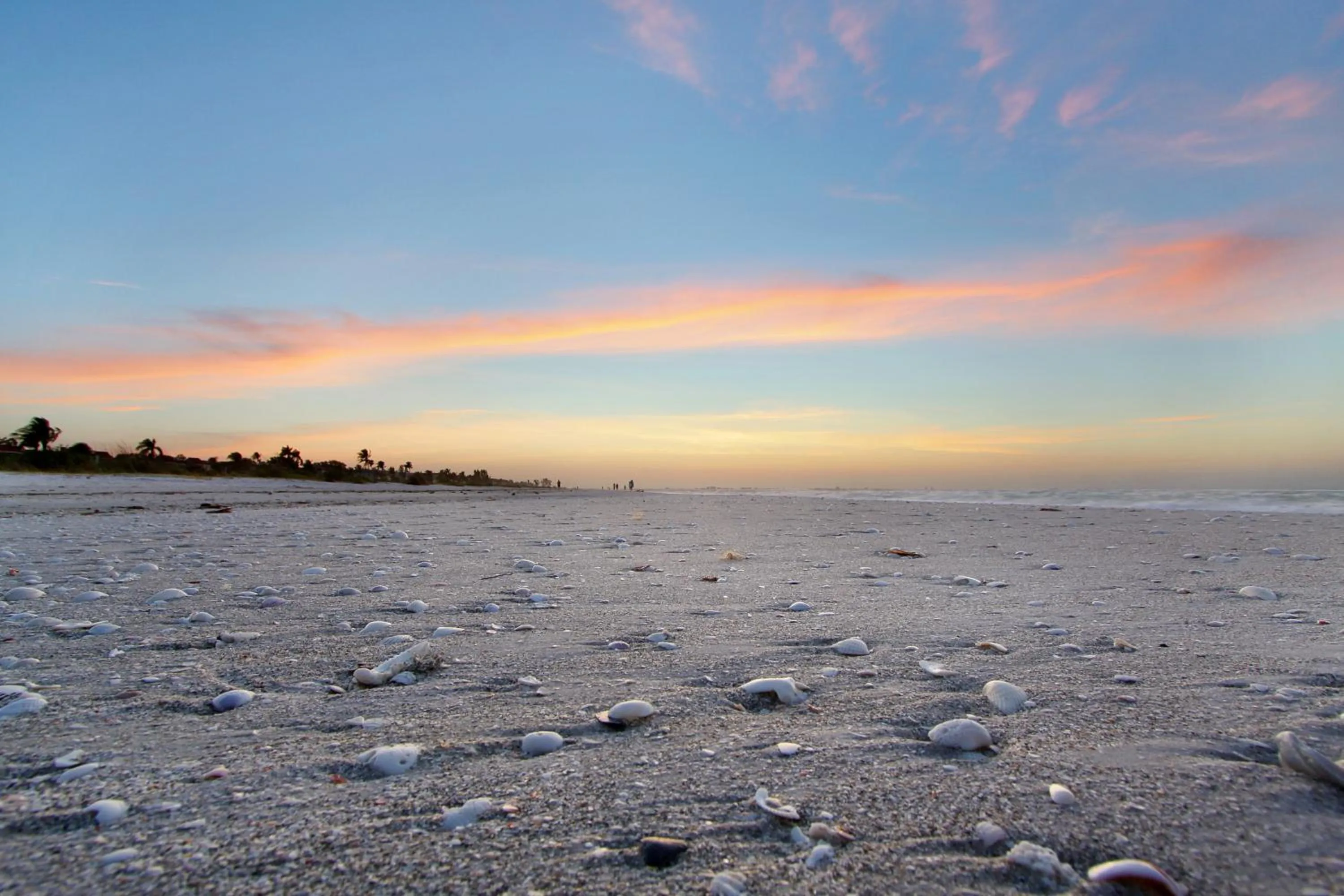 Natural landscape in Sanibel Inn