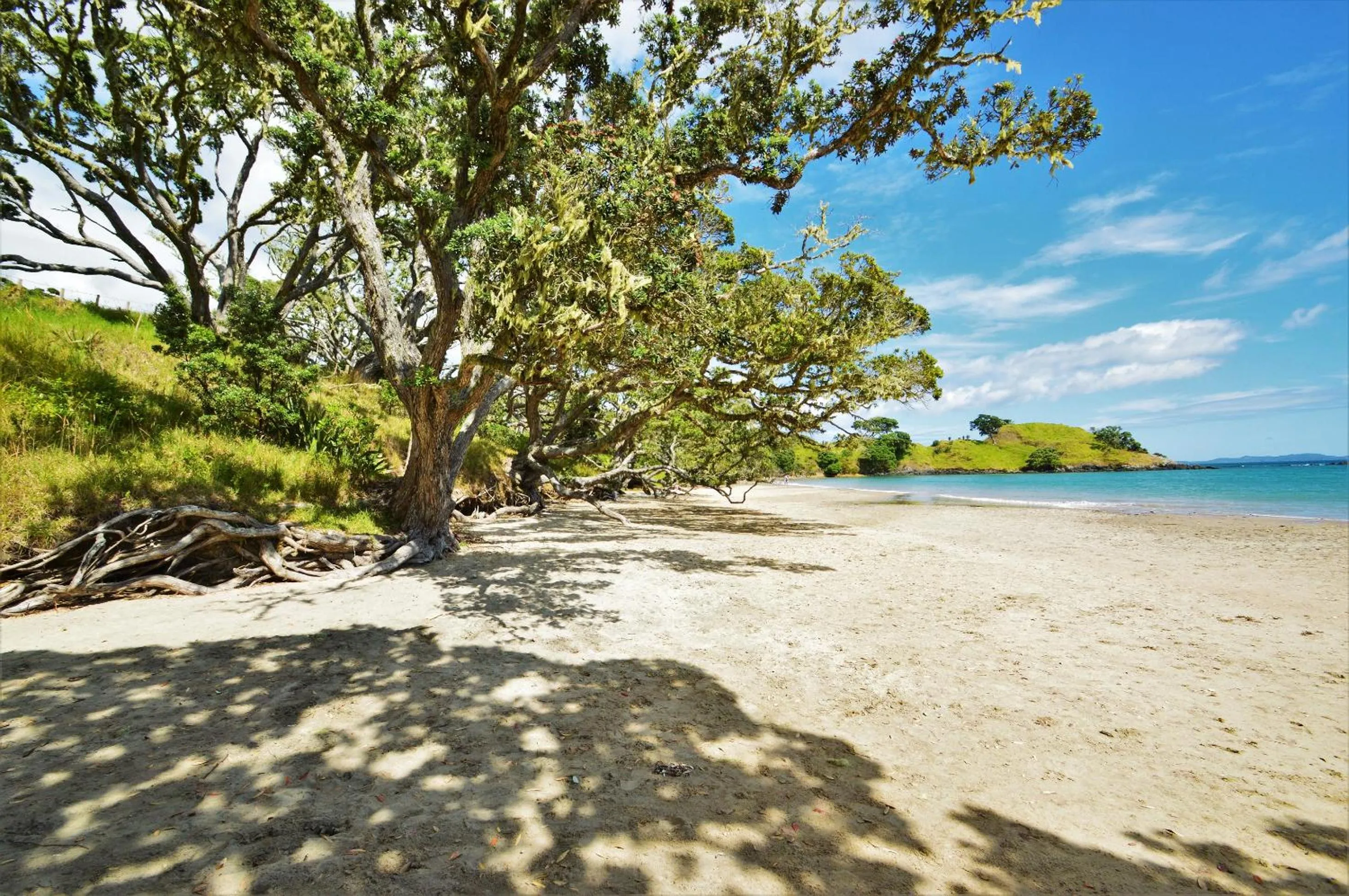 Beach in BeachBox Boutique Accommodation