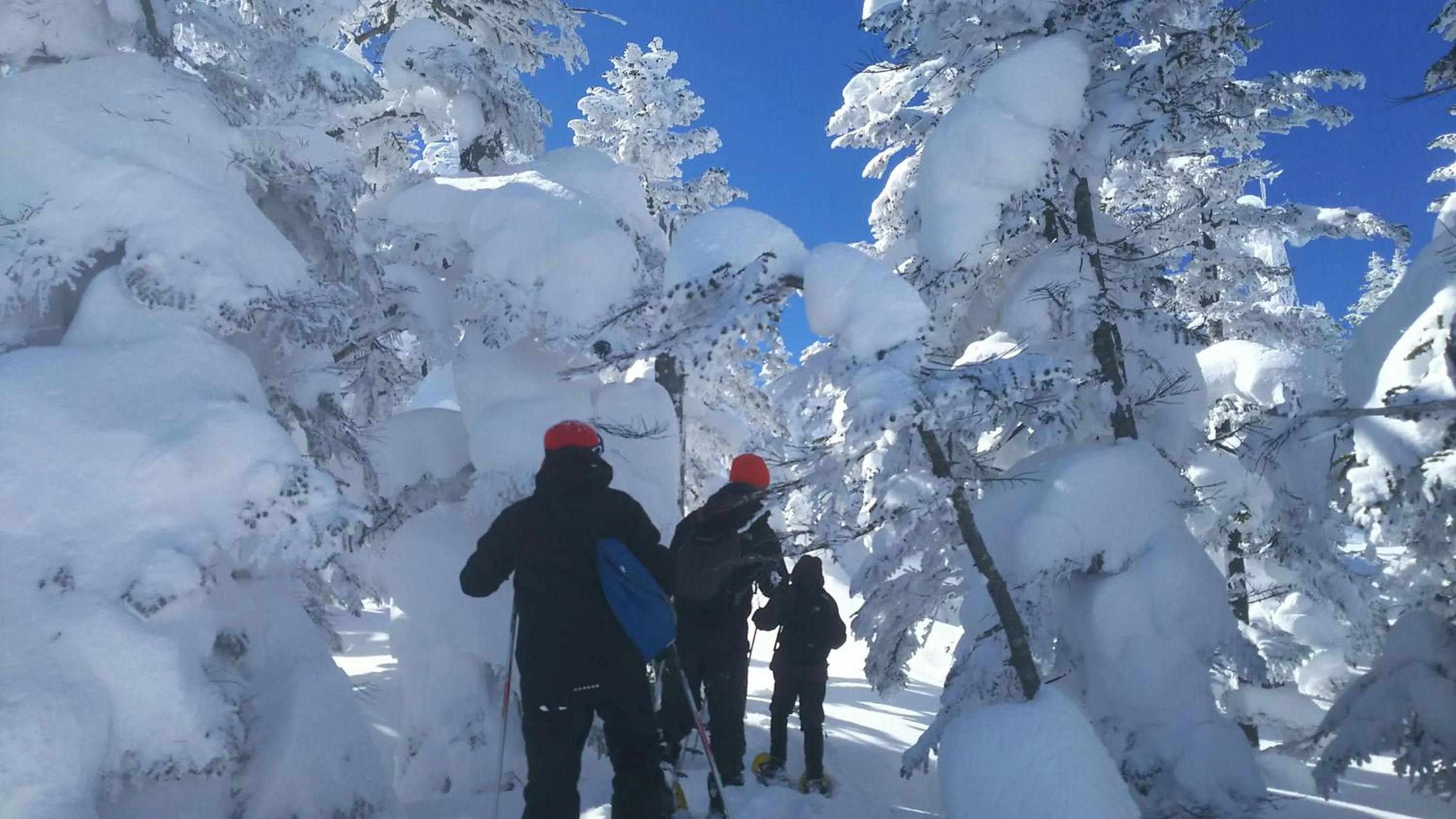 Sports in Shiga Palace Hotel