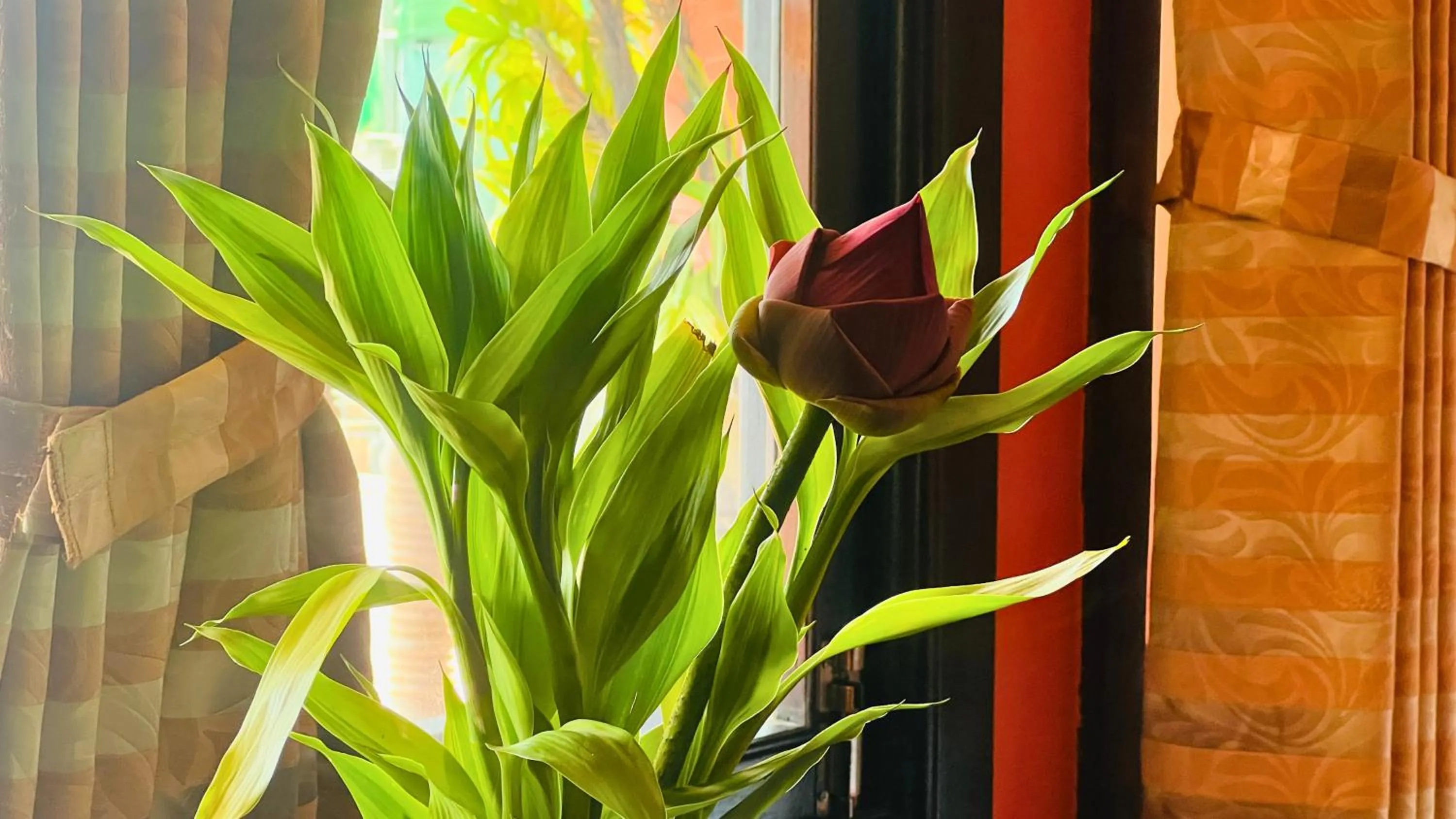 Decorative detail in Golden Butterfly Villa