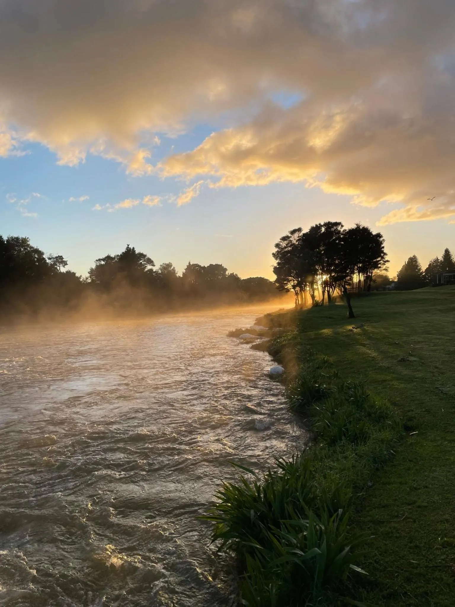 Natural landscape in Te Awa Lodge
