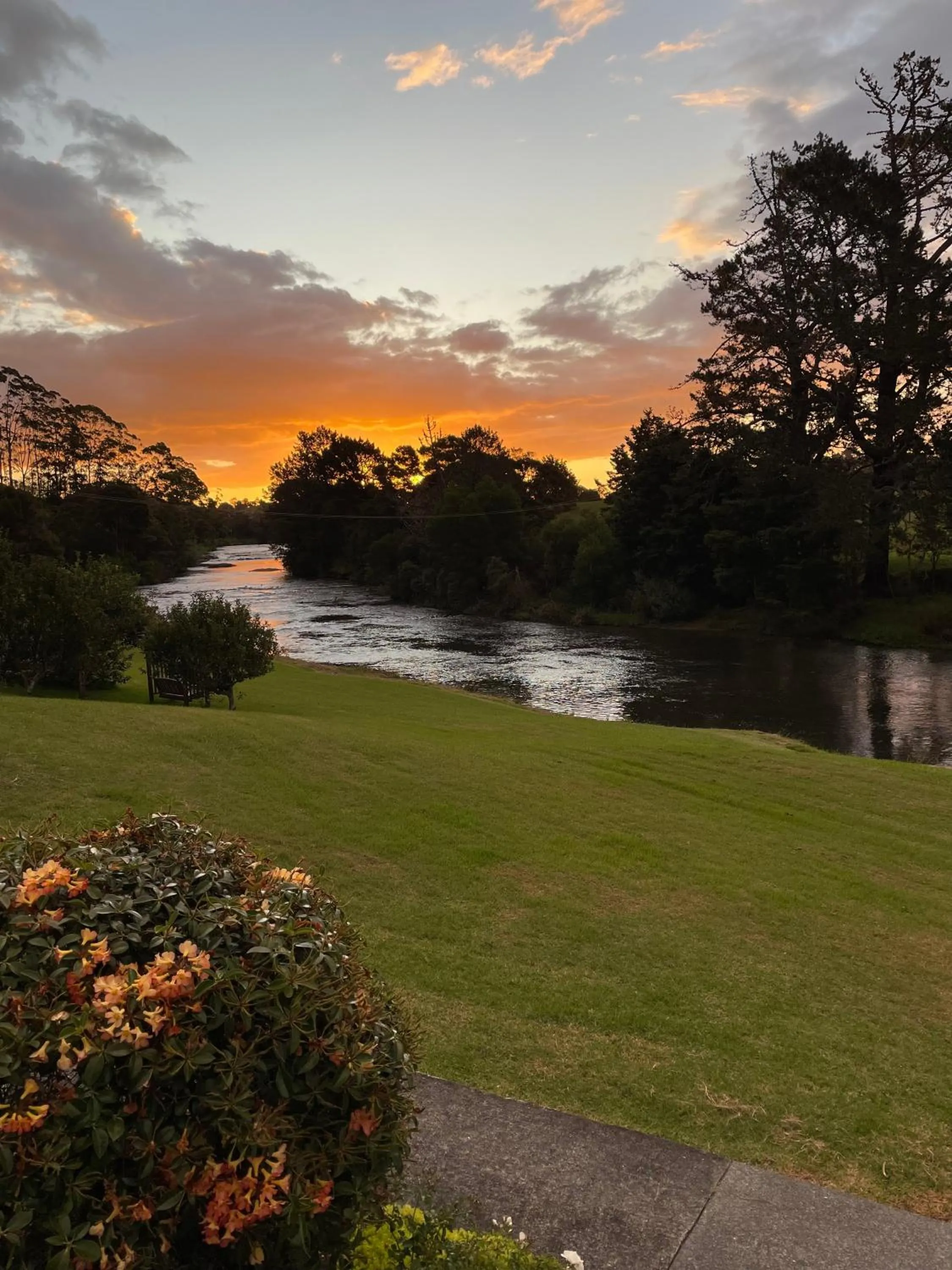 Natural landscape in Te Awa Lodge