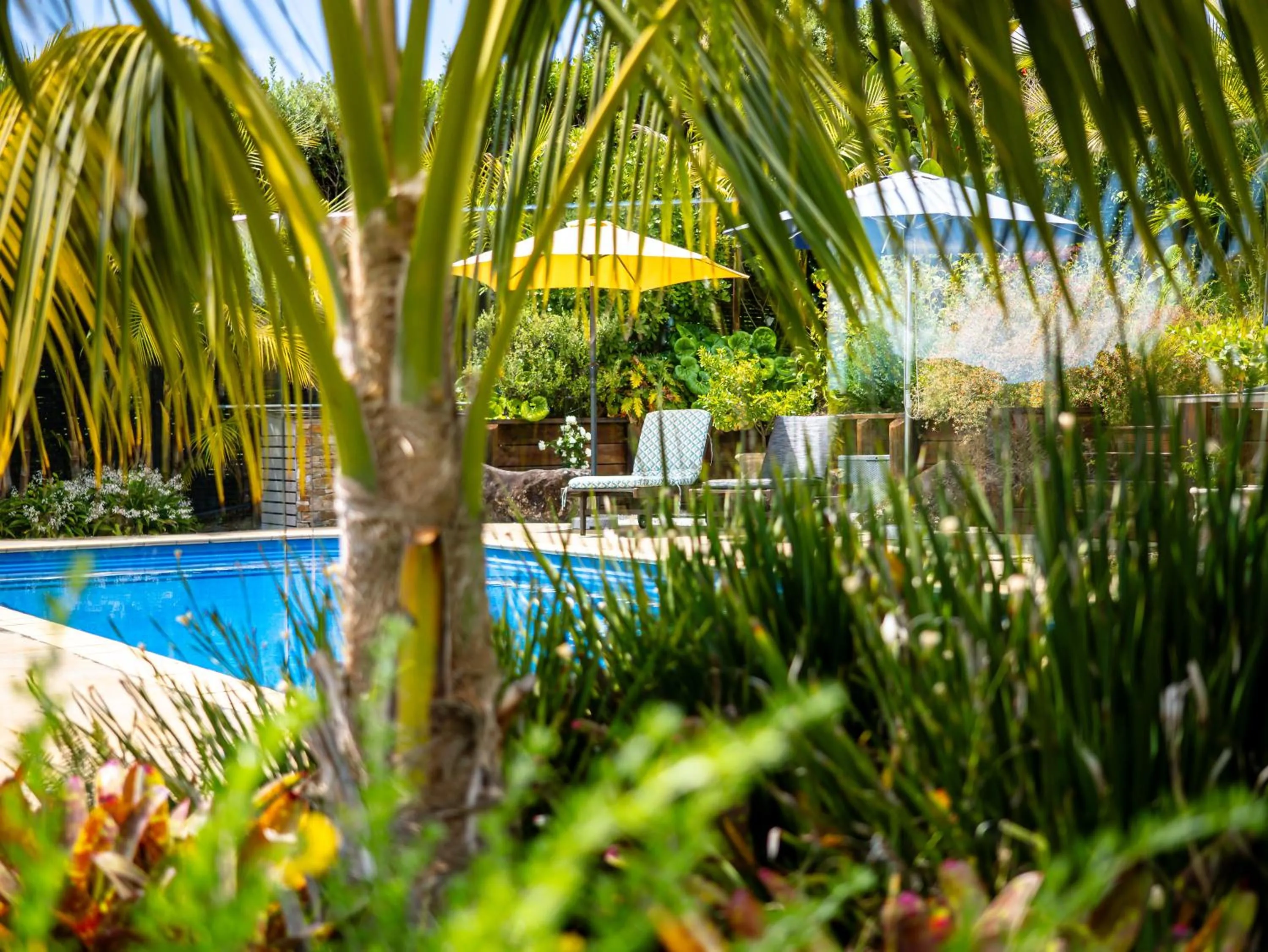 Garden view in Te Awa Lodge