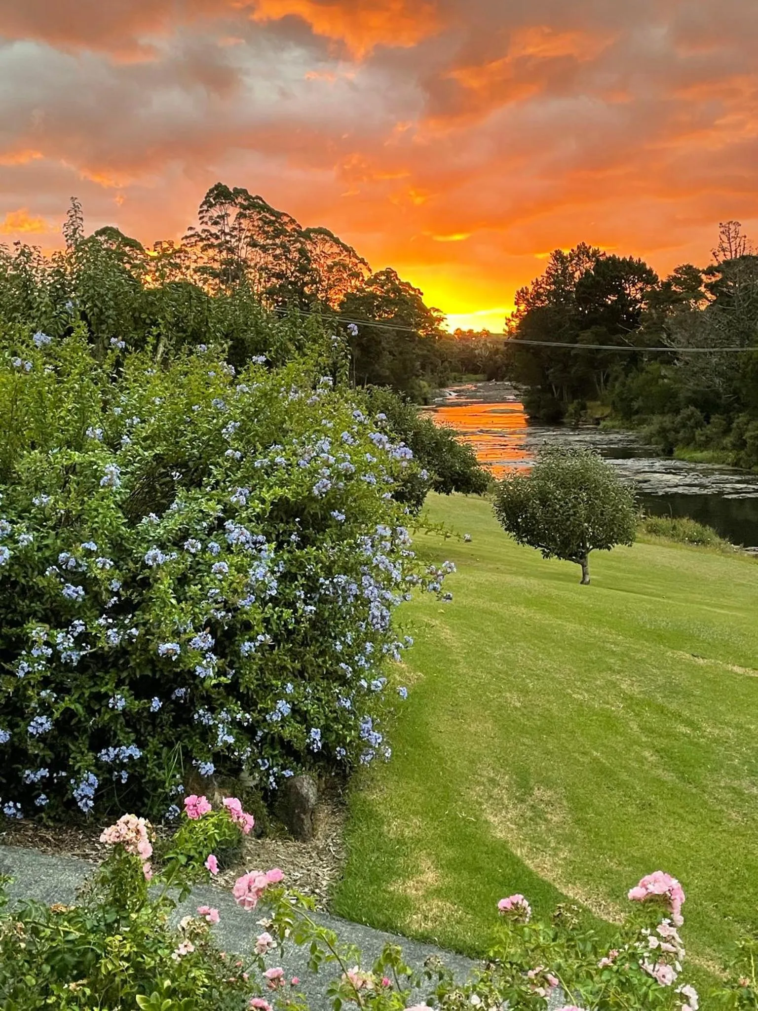 Garden in Te Awa Lodge