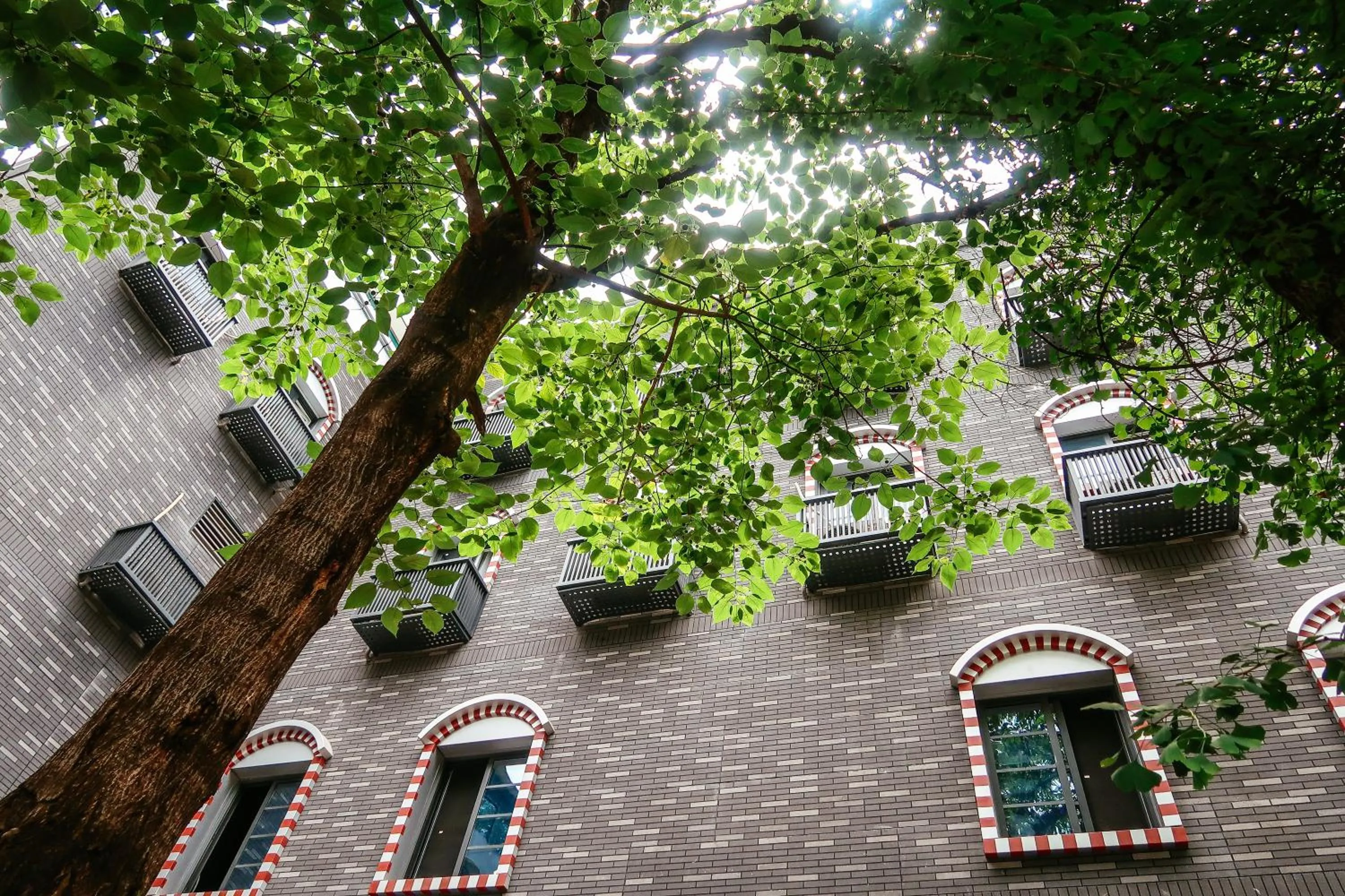 Property building in Chengdu Flipflop Hostel Poshpacker (Chunxi Road Metro Station)