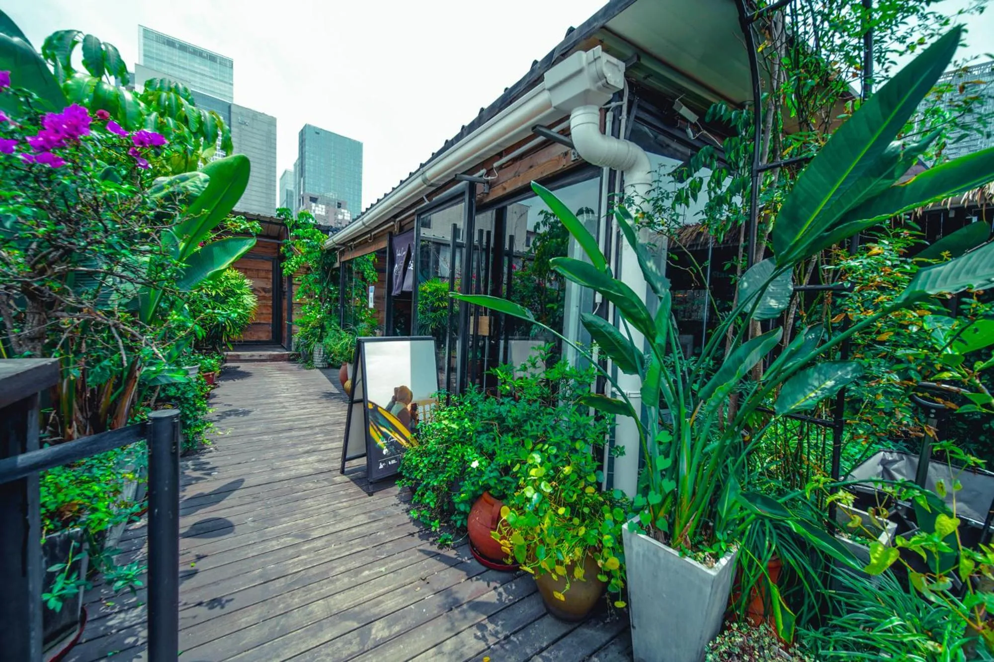 Garden in Chengdu Flipflop Hostel Poshpacker (Chunxi Road Metro Station)