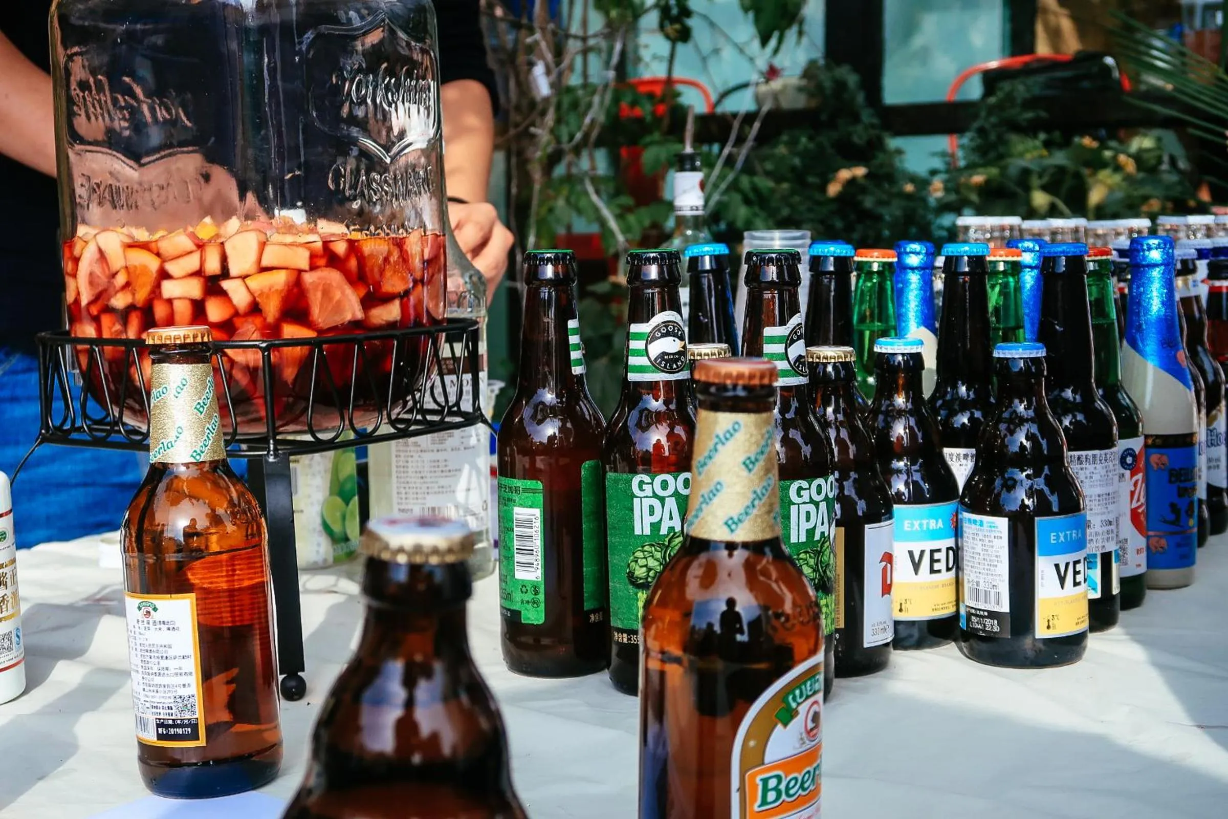 Drinks in Chengdu Flipflop Hostel Poshpacker (Chunxi Road Metro Station)