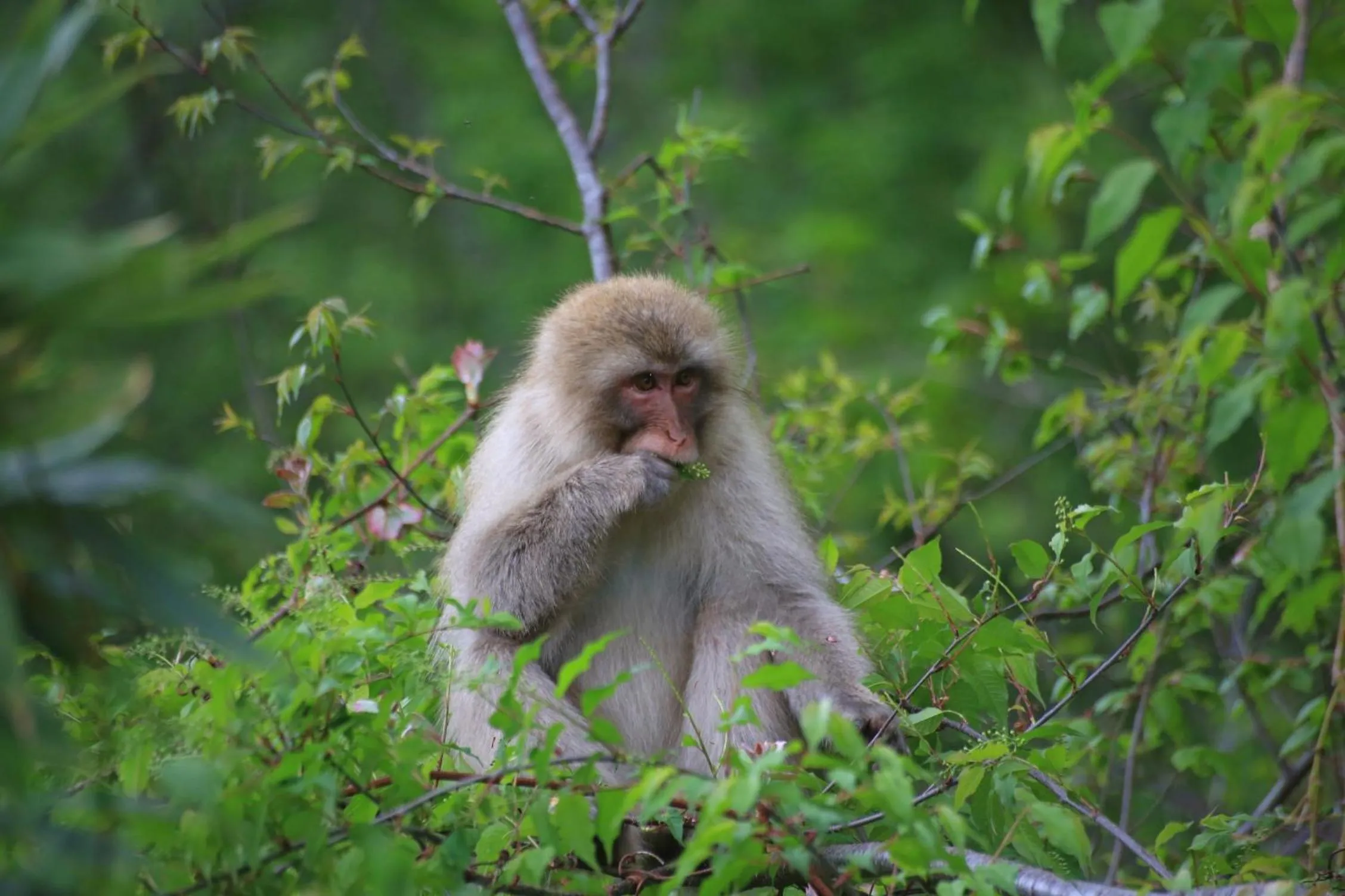 Natural landscape in Tabataya