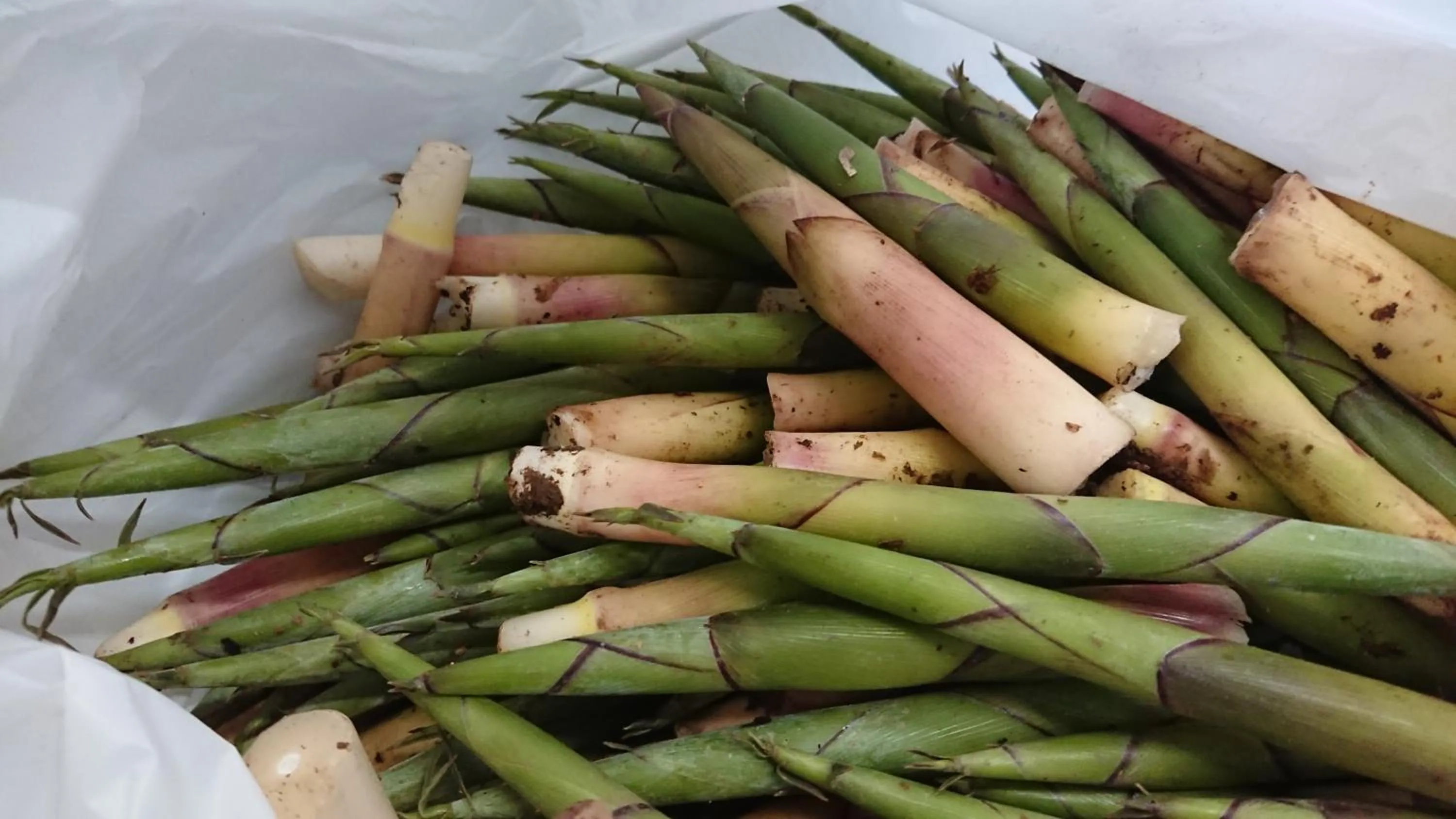 Food and drinks in Tabataya