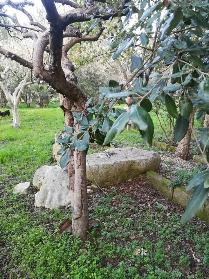 Garden in filobrocante