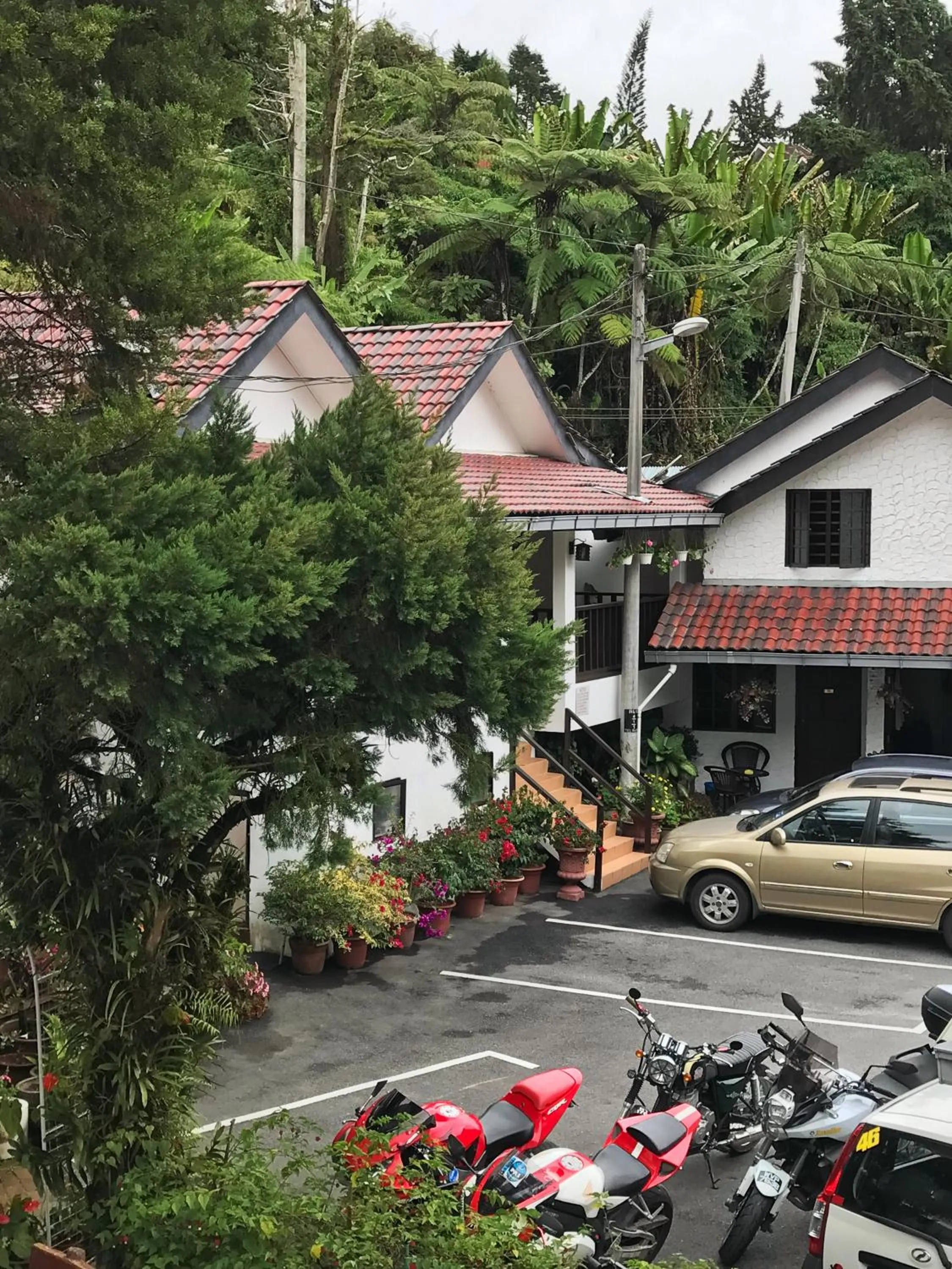 Property building in Cameronian Inn