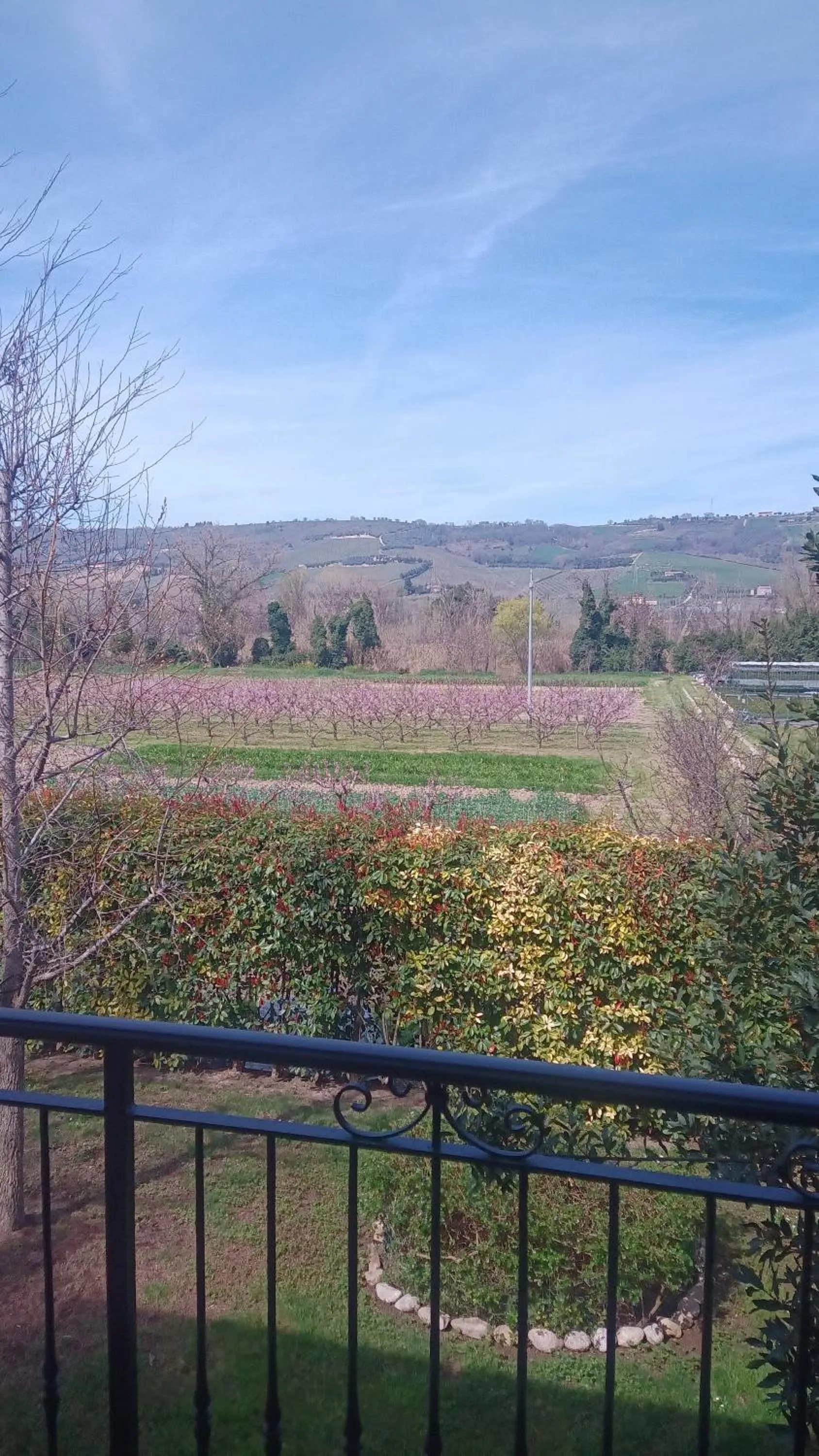 Natural landscape in B&B La poeta