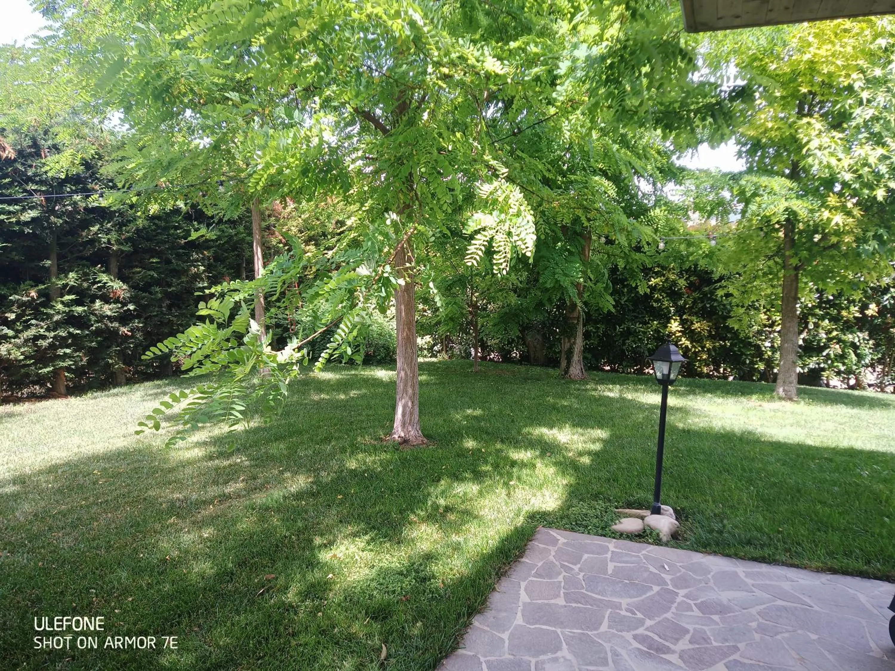 Garden in B&B La poeta