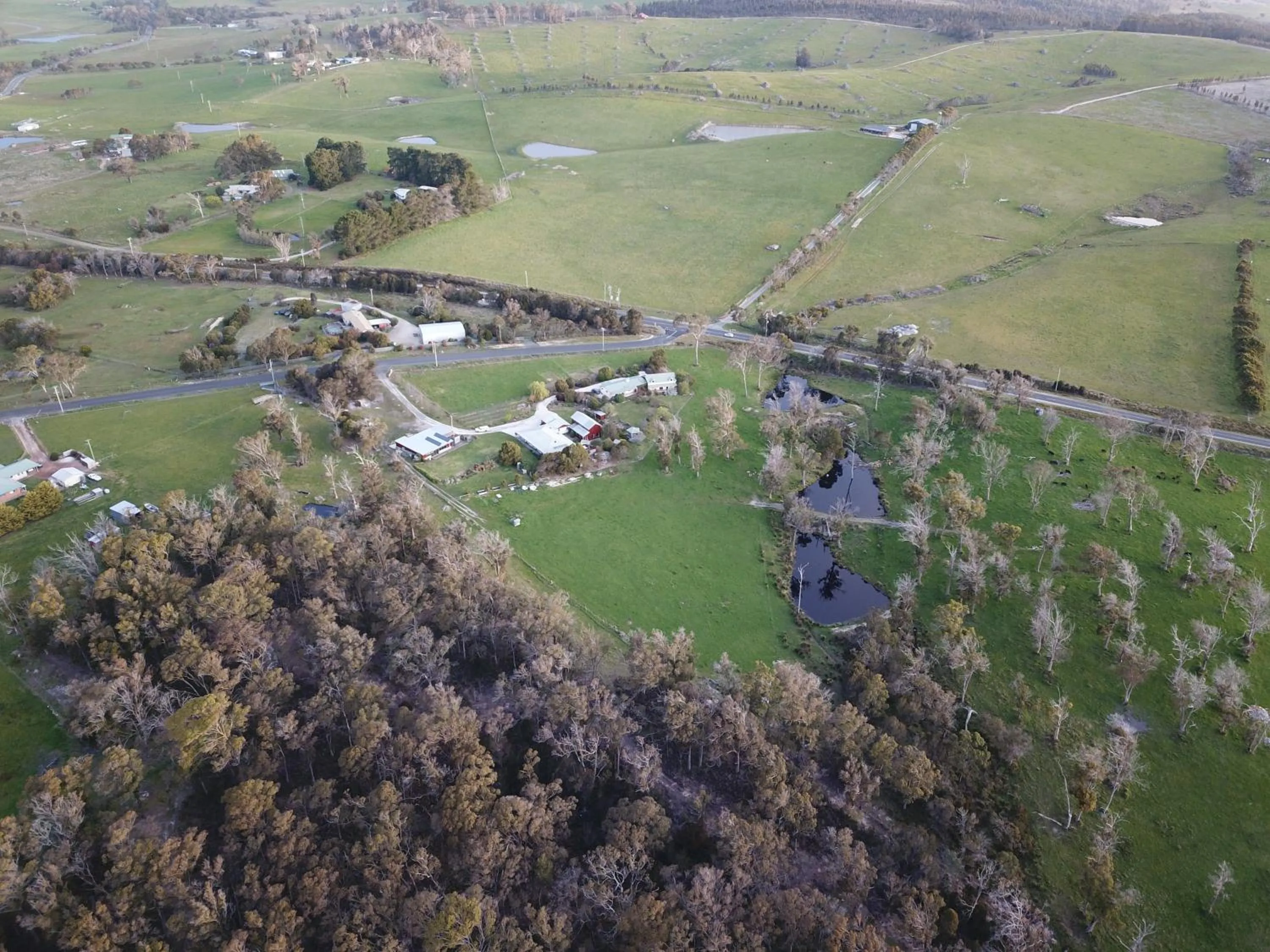 Bird's eye view in Platypus Park Country Retreat