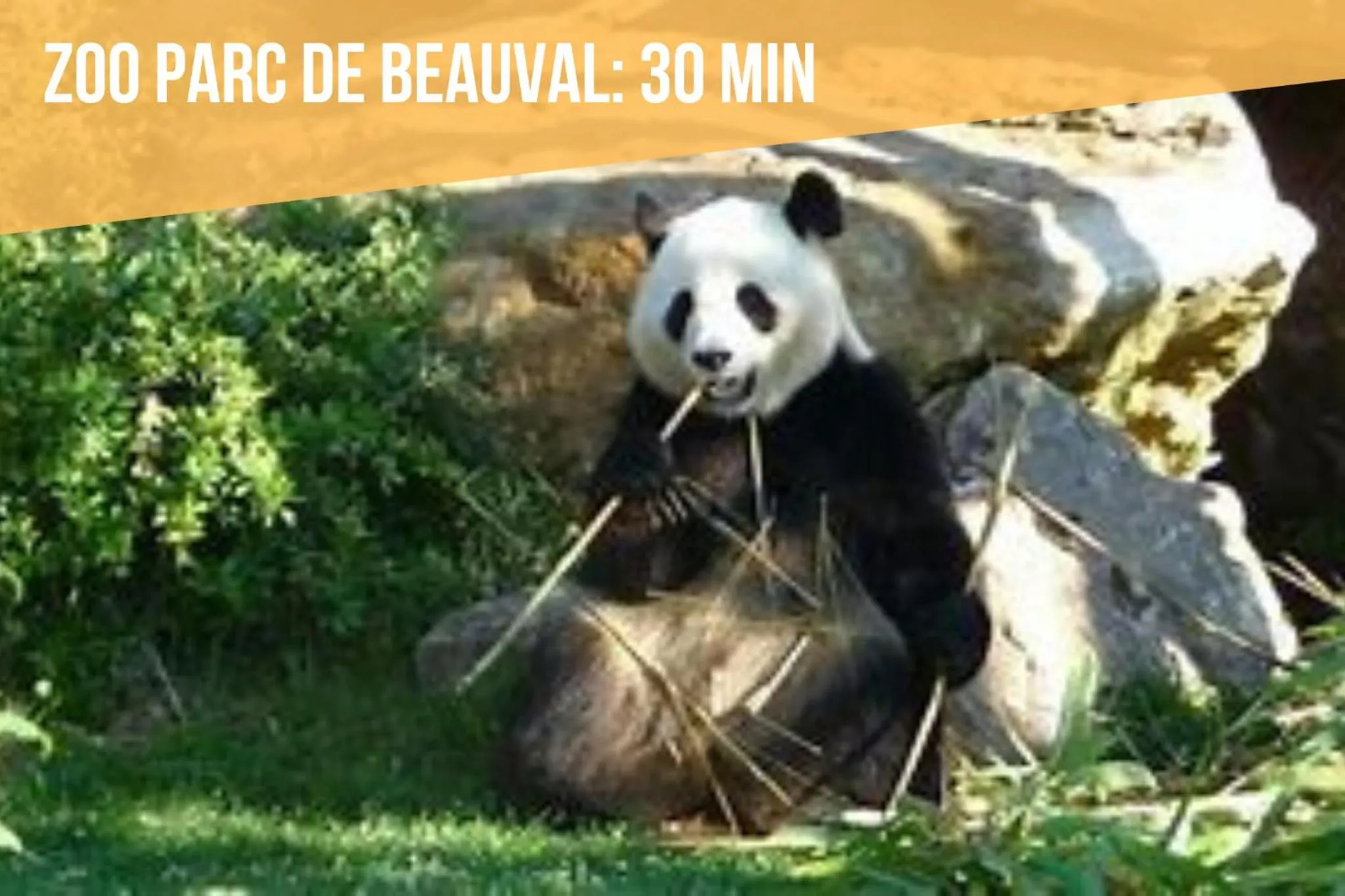 Chambre d'hôte La Voilerie du Cher