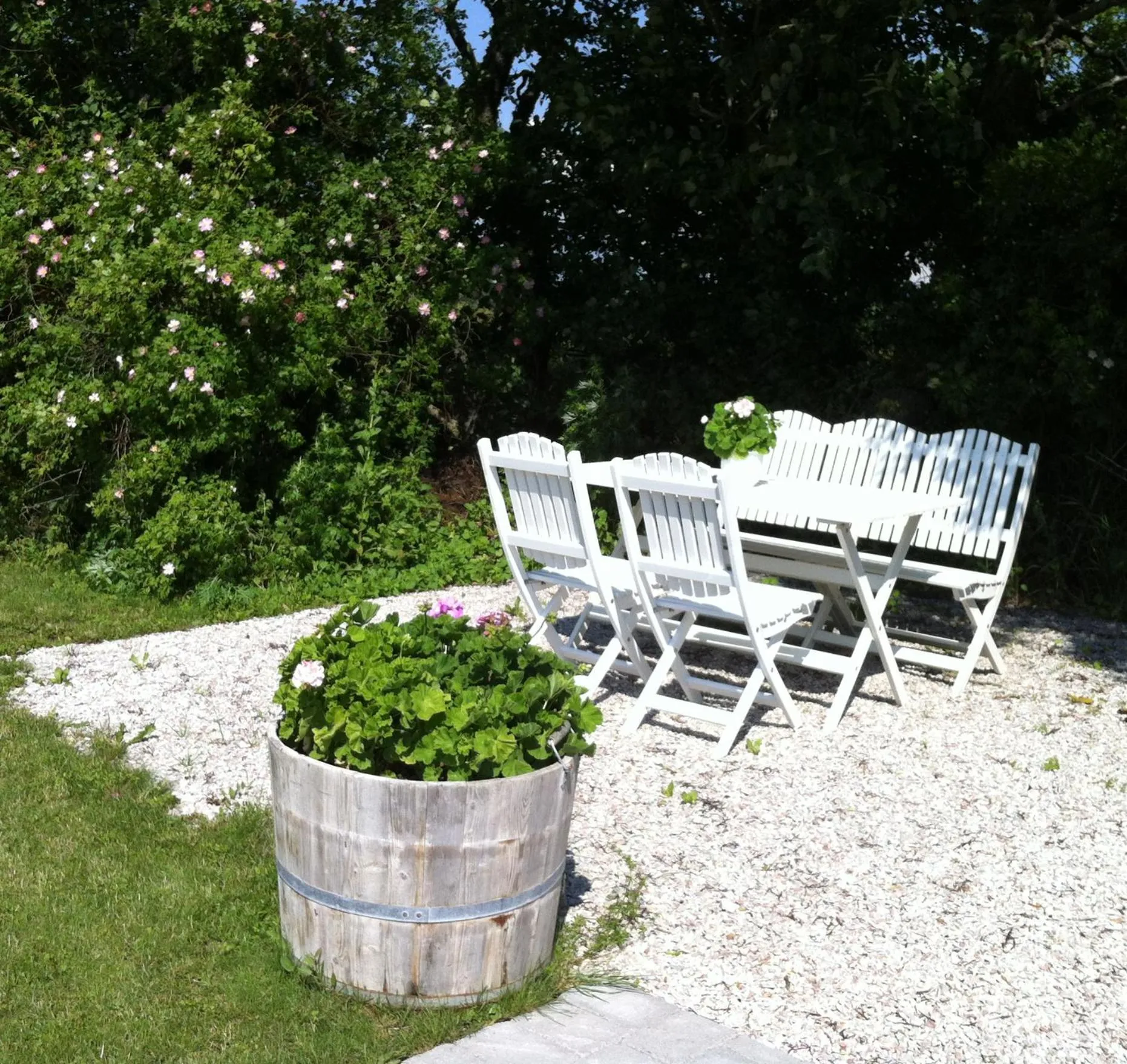 Garden in Ljungs Fem Rum