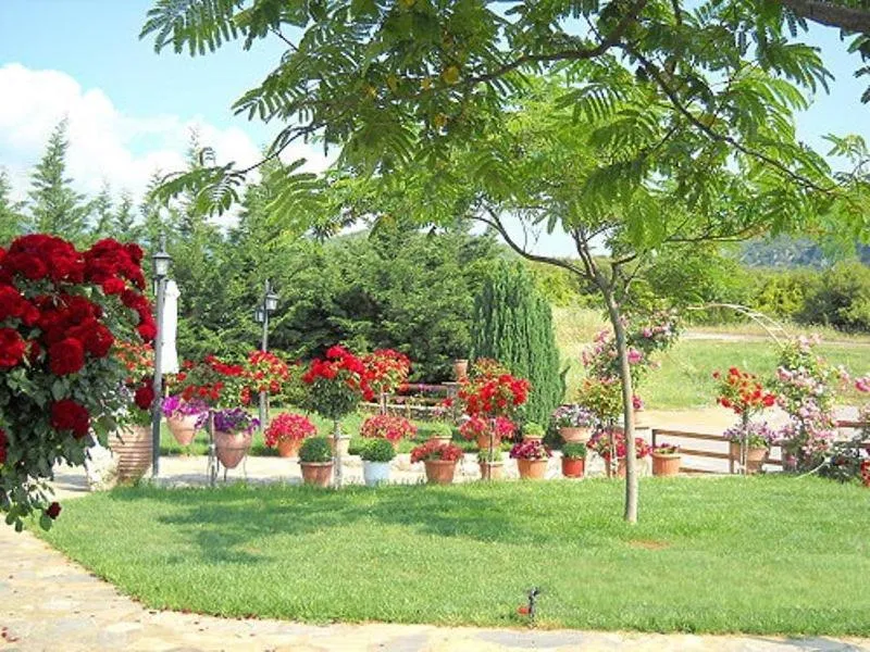 Garden in Hotel Kapsalis