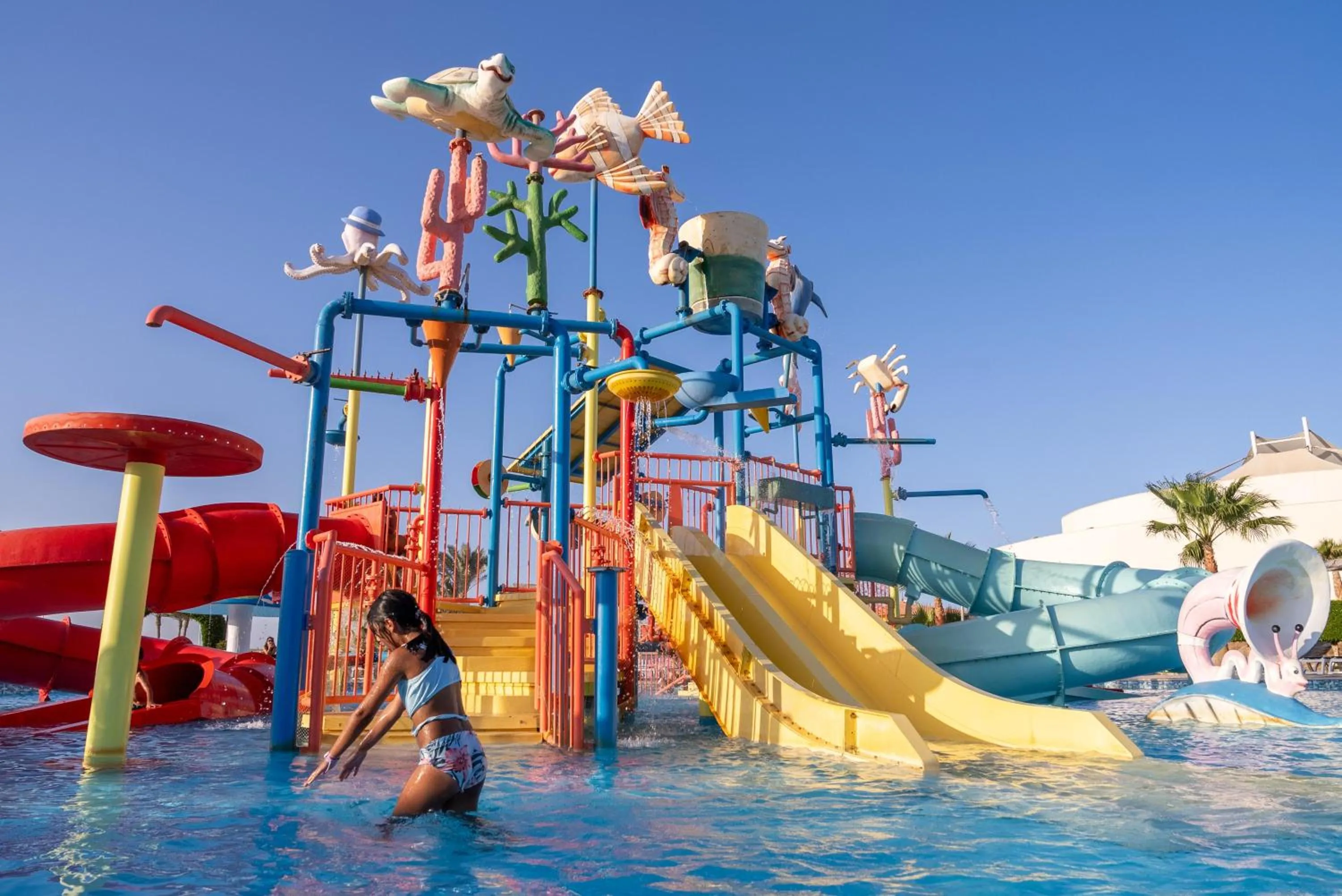 Activities in Malikia Resort Abu Dabbab