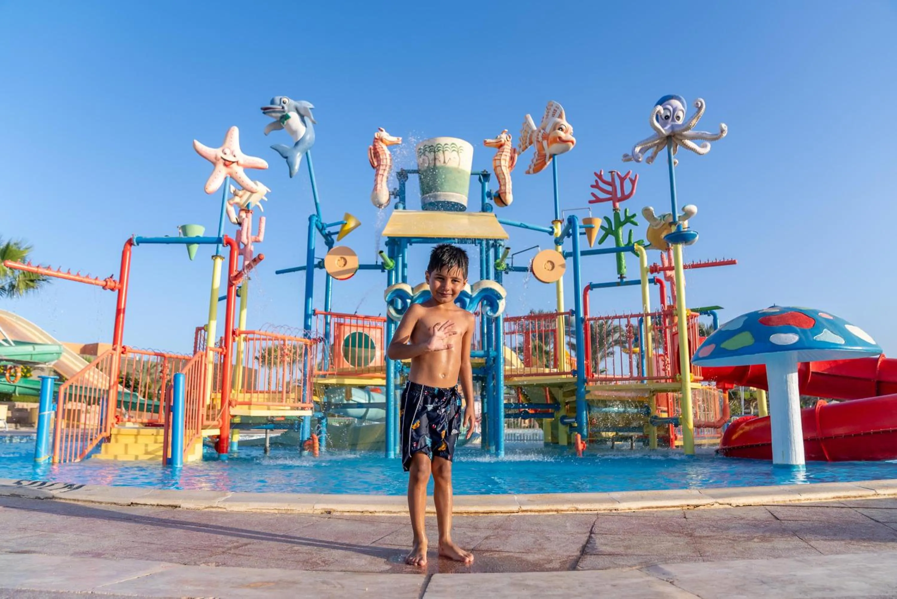 Swimming pool in Malikia Resort Abu Dabbab
