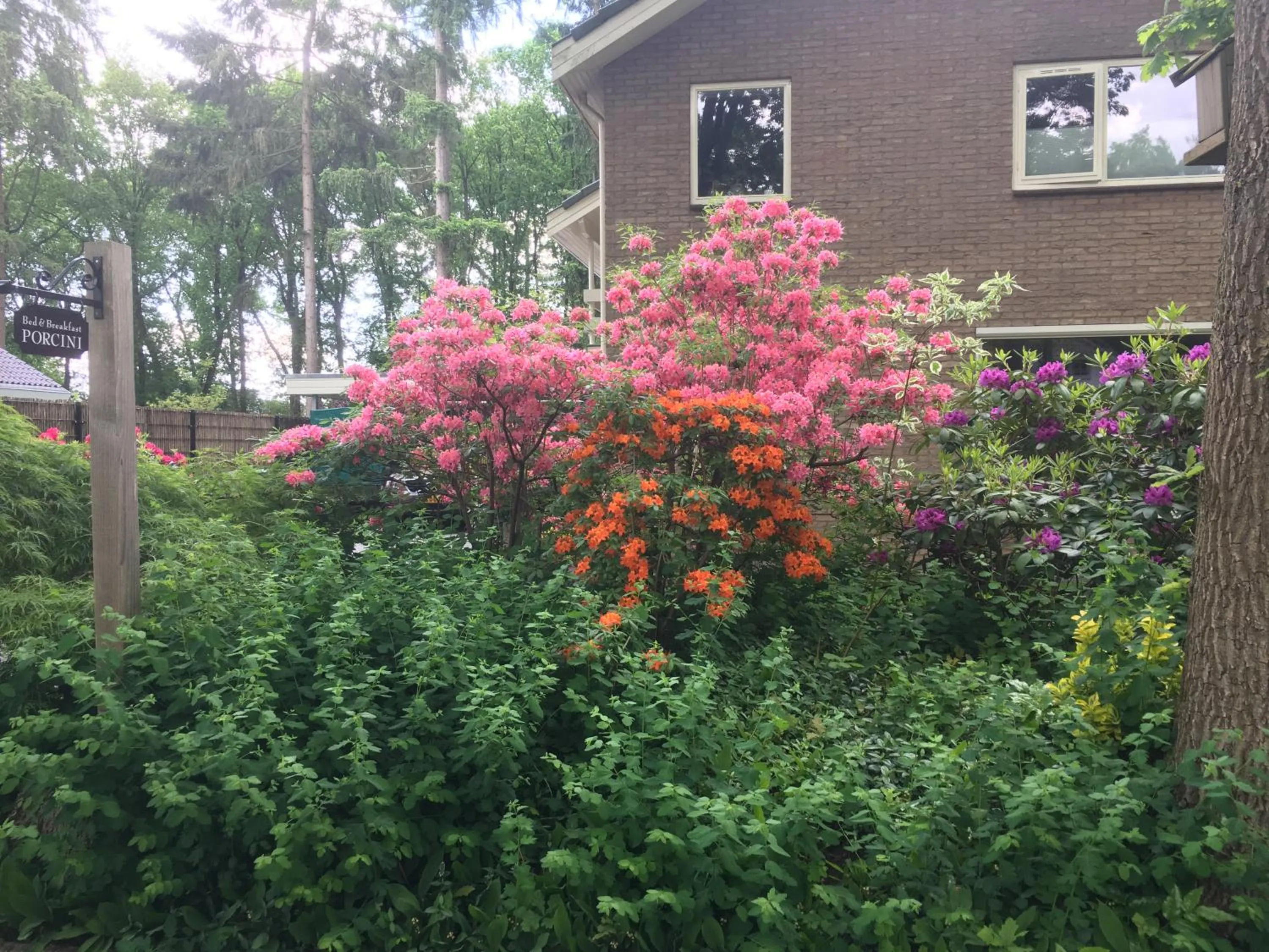 Garden view in B&B Porcini