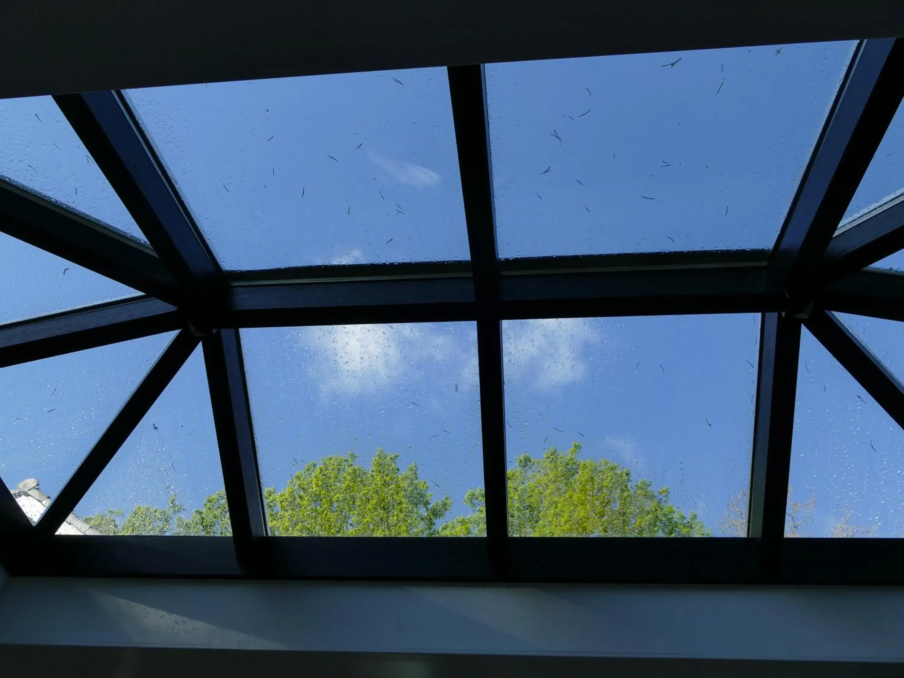 Double Room with Private Bathroom in B&B Porcini Double Room with Private Bathroom in B&B Porcini