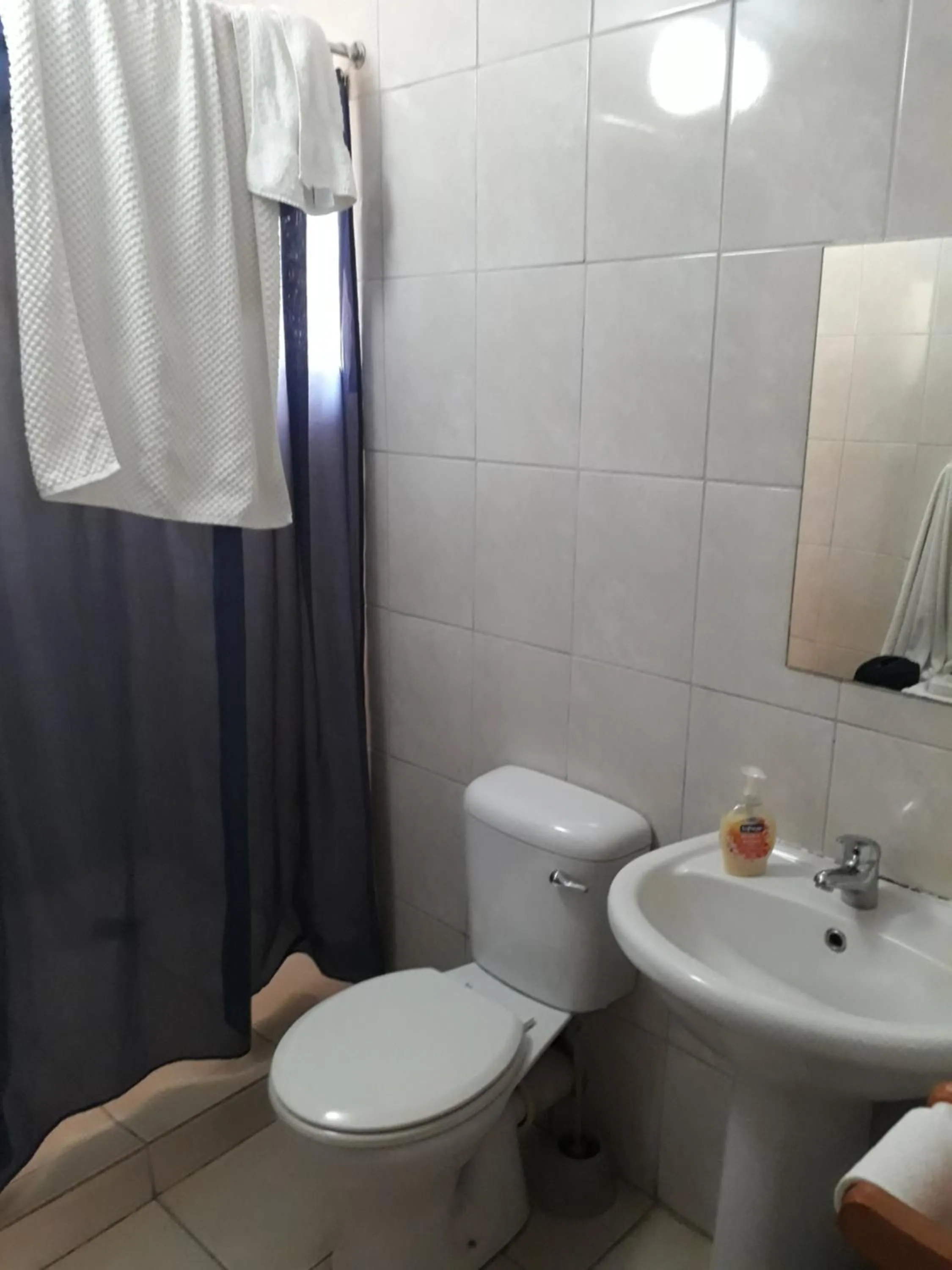 Toilet in Gloria's Bed and Breakfast