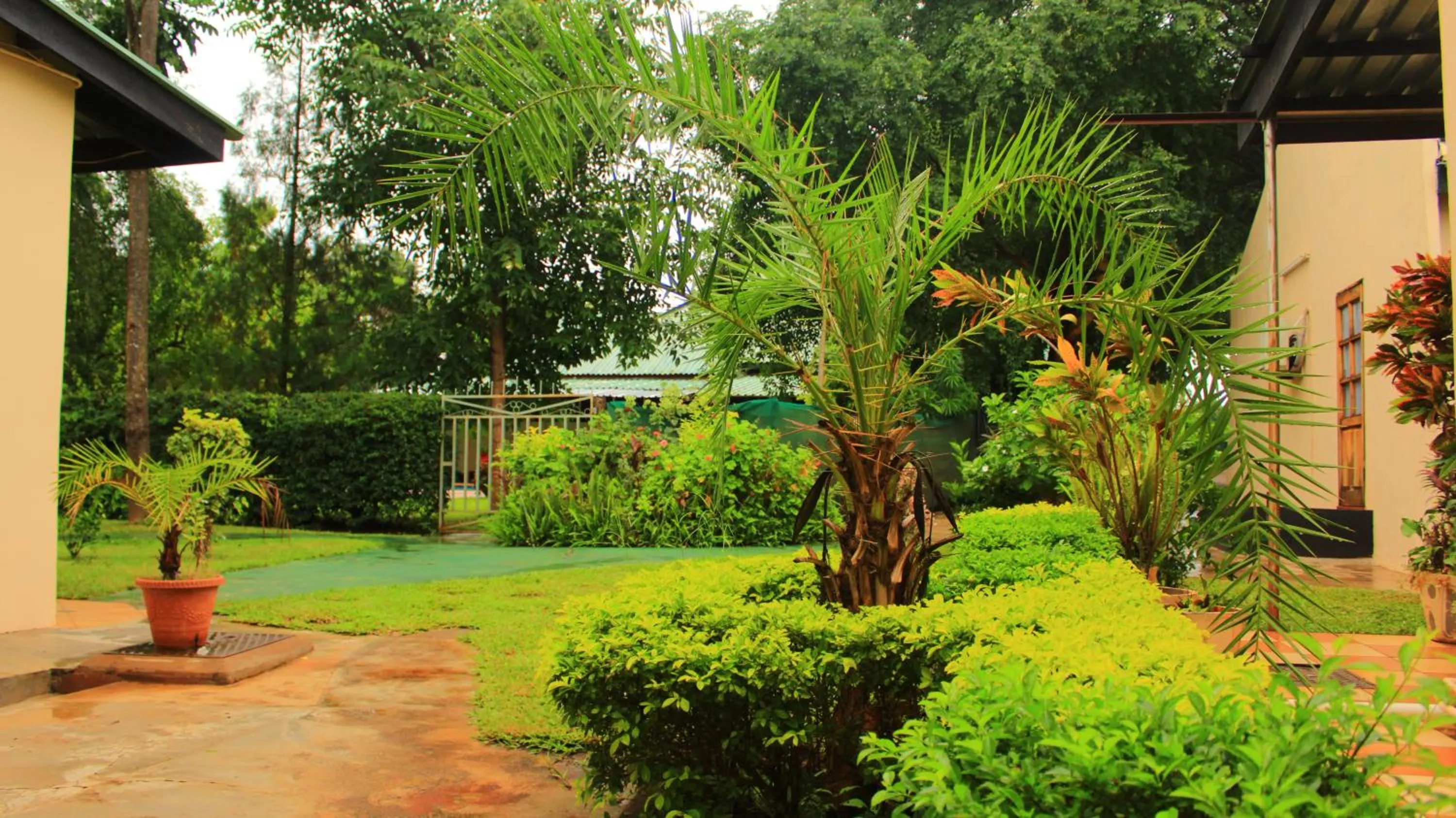 Area and facilities in Gloria's Bed and Breakfast