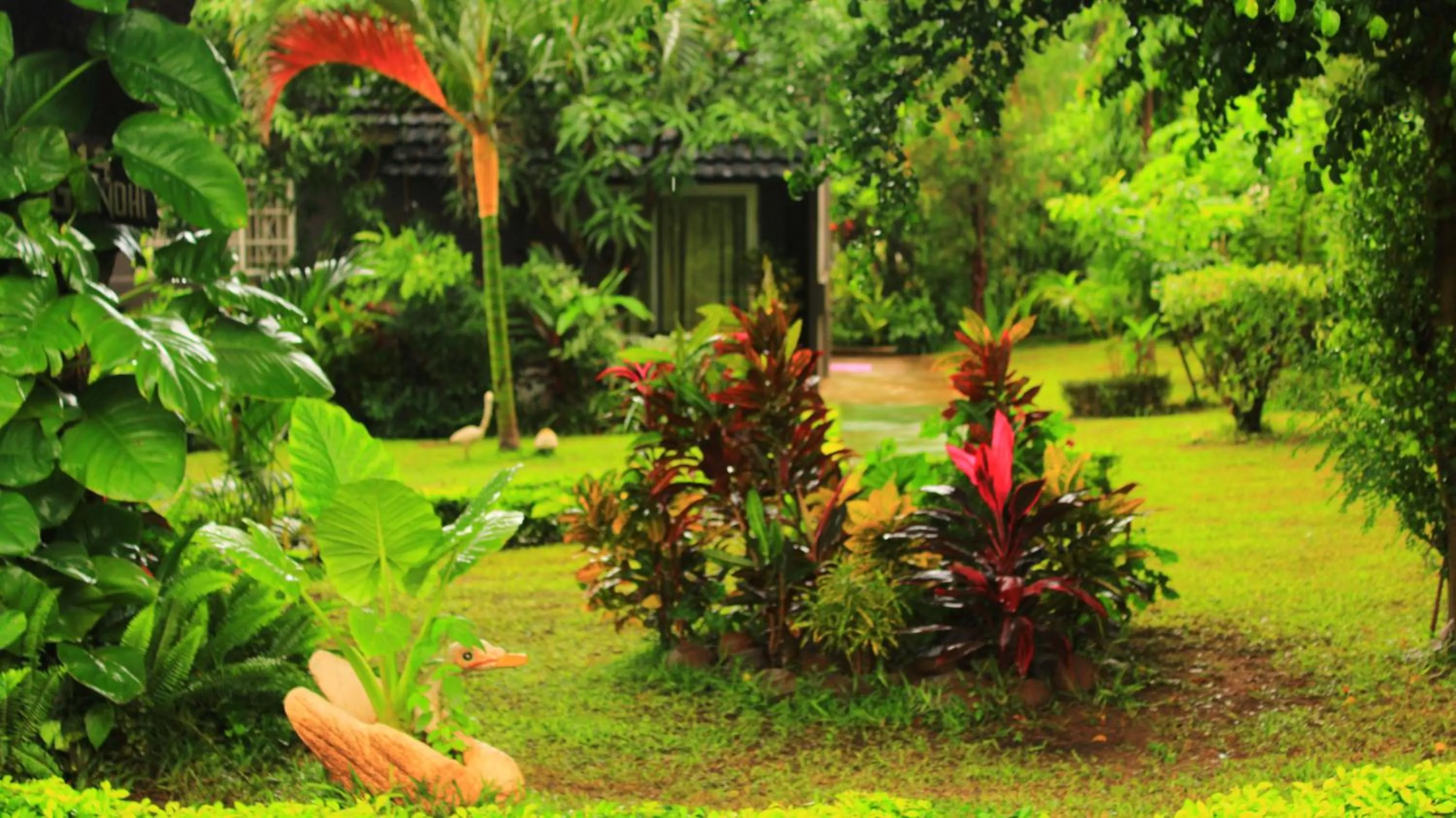 Garden in Gloria's Bed and Breakfast