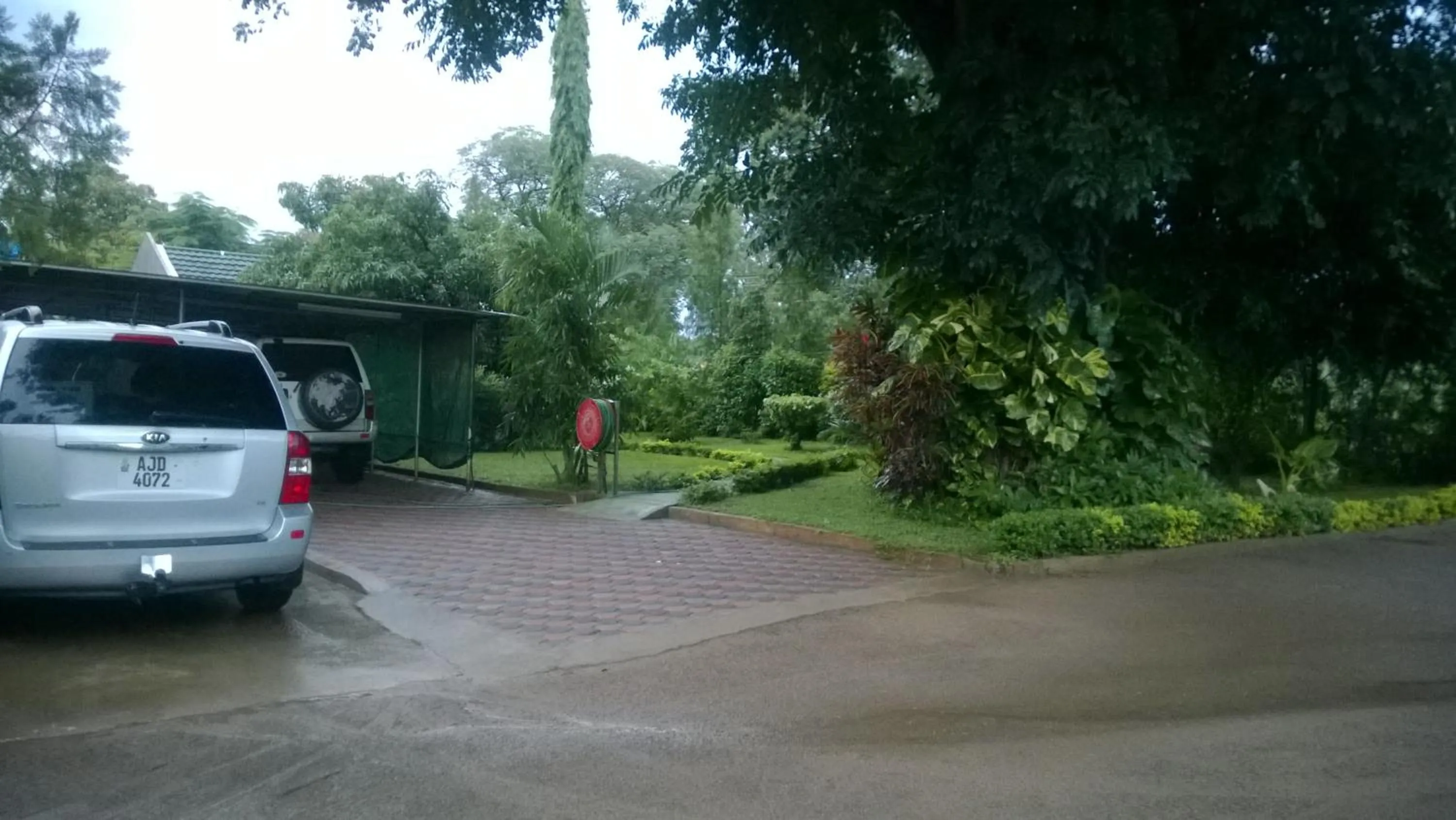 Garden view in Gloria's Bed and Breakfast