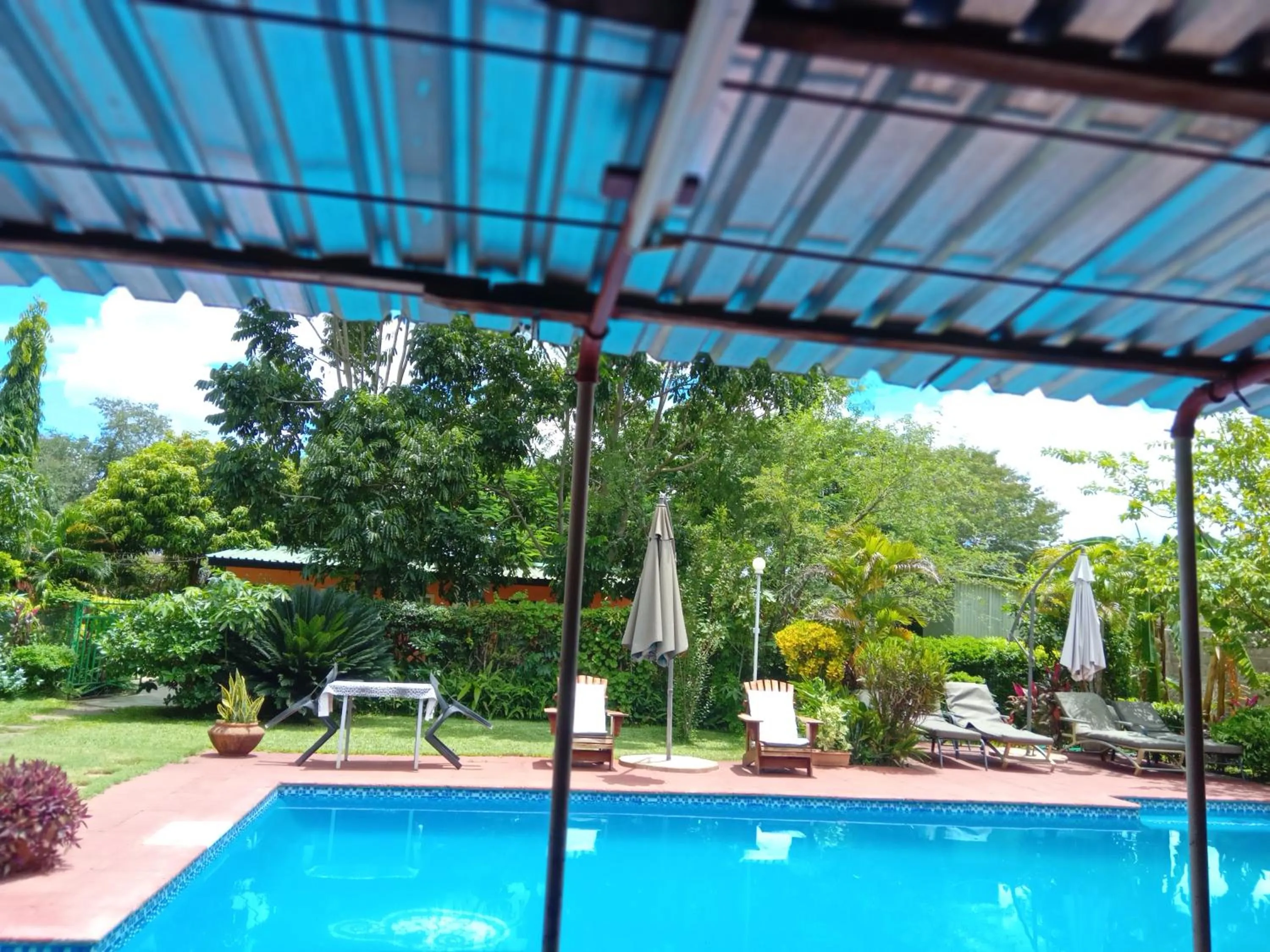 Garden view in Gloria's Bed and Breakfast