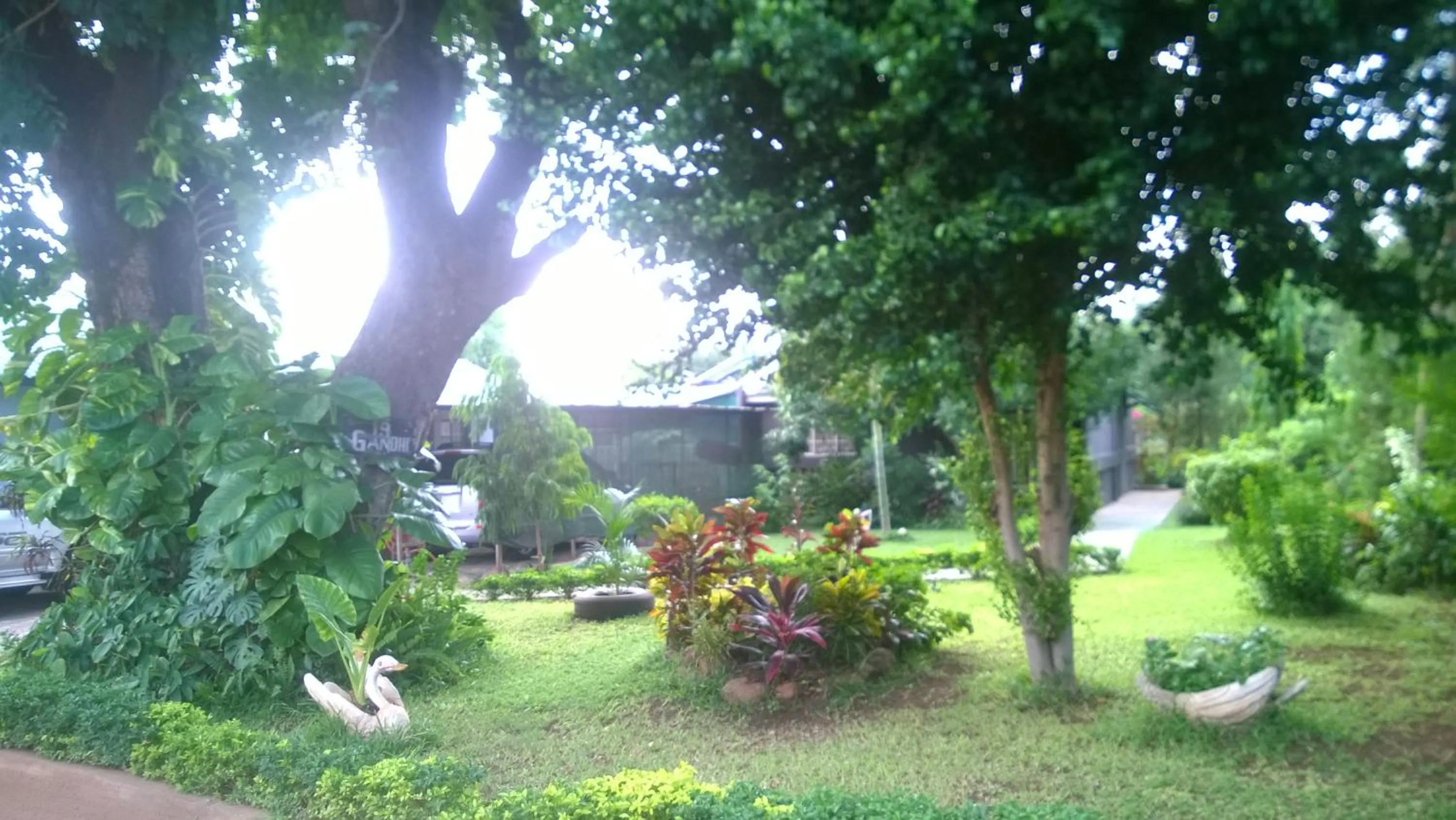 Garden in Gloria's Bed and Breakfast