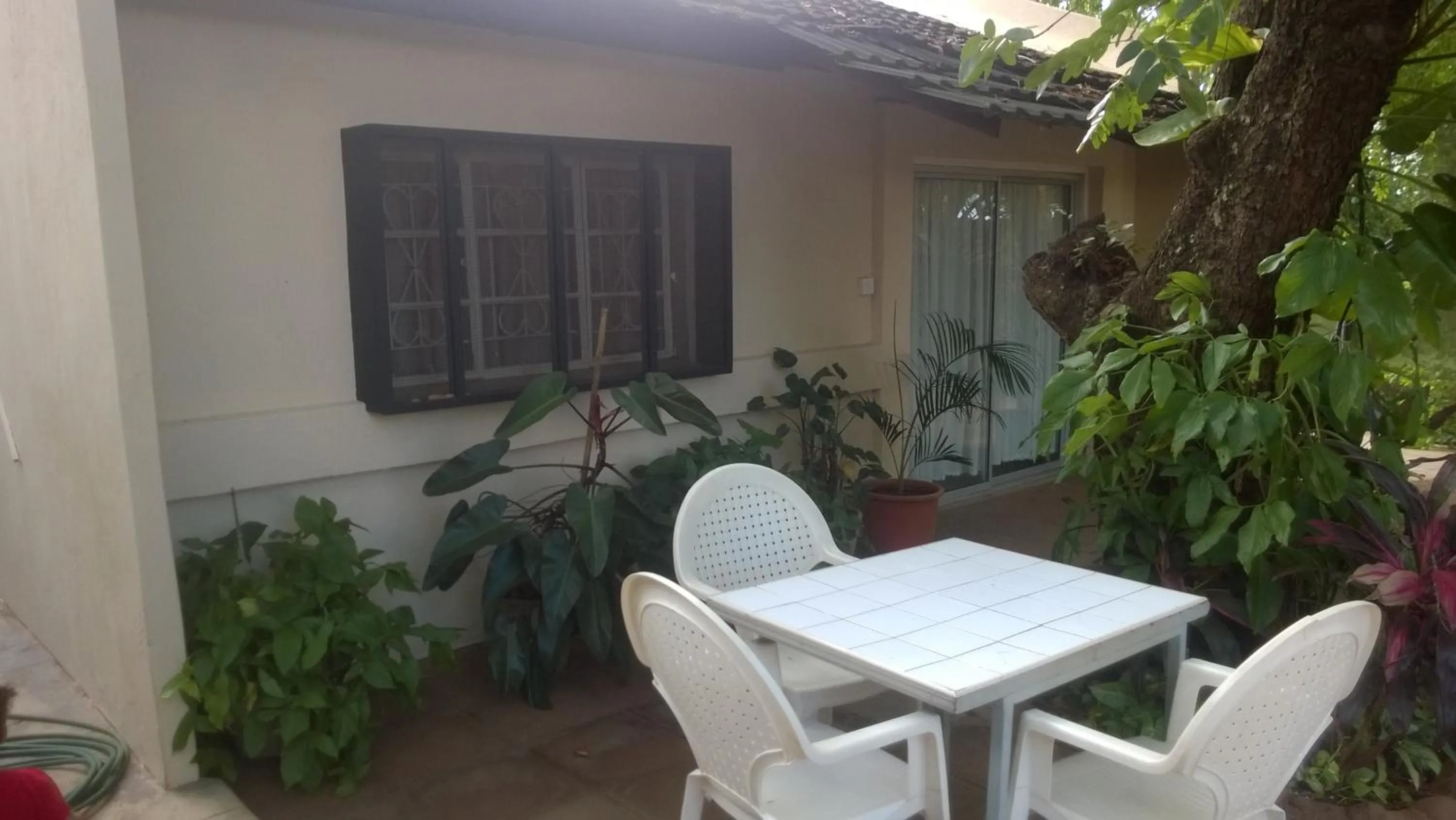 Balcony/Terrace in Gloria's Bed and Breakfast