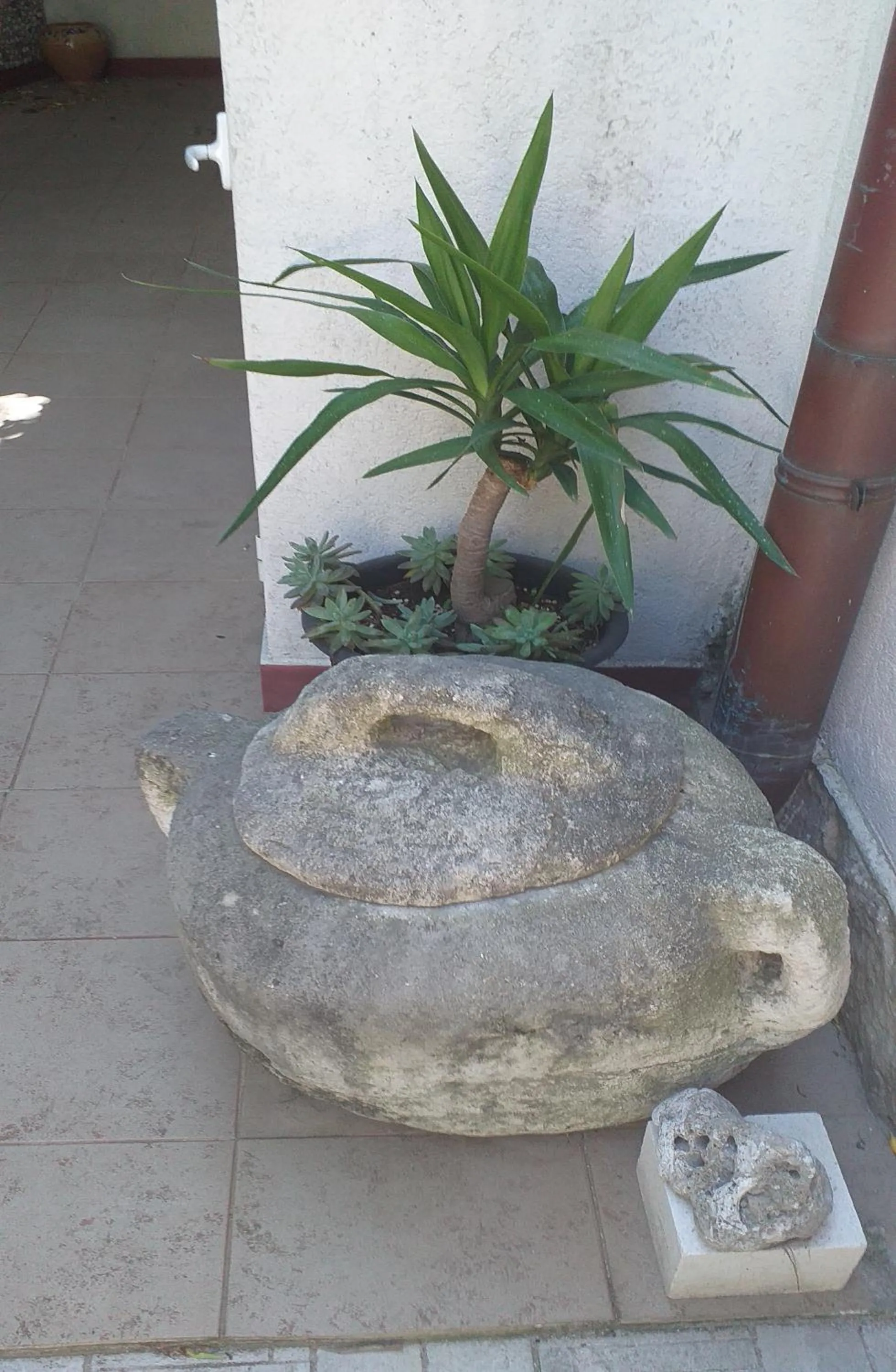Balcony/Terrace in Plavi Žal Apartment