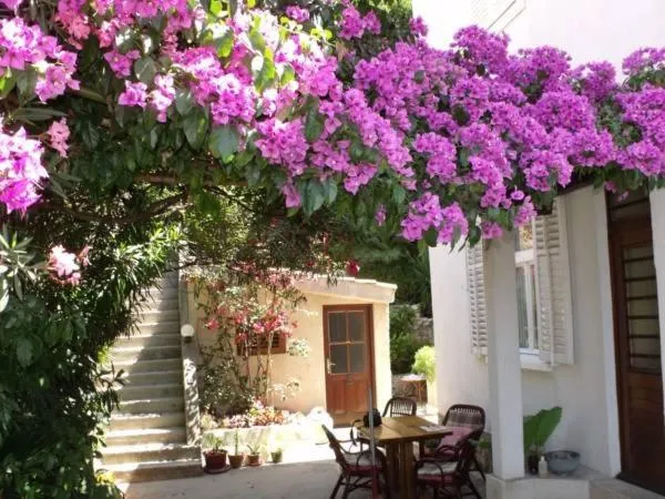 Balcony/Terrace in Plavi Žal Apartment