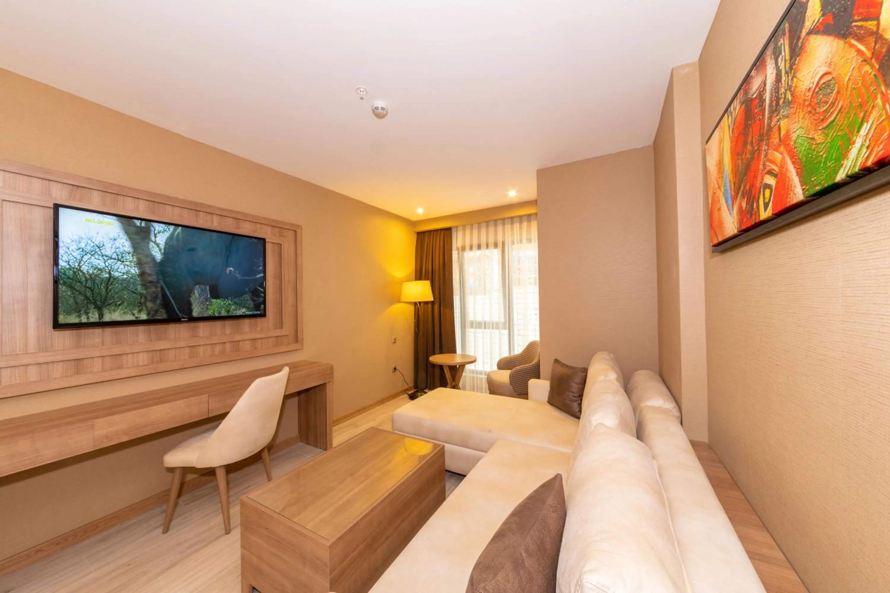 Communal lounge/ TV room in 38 Hotel