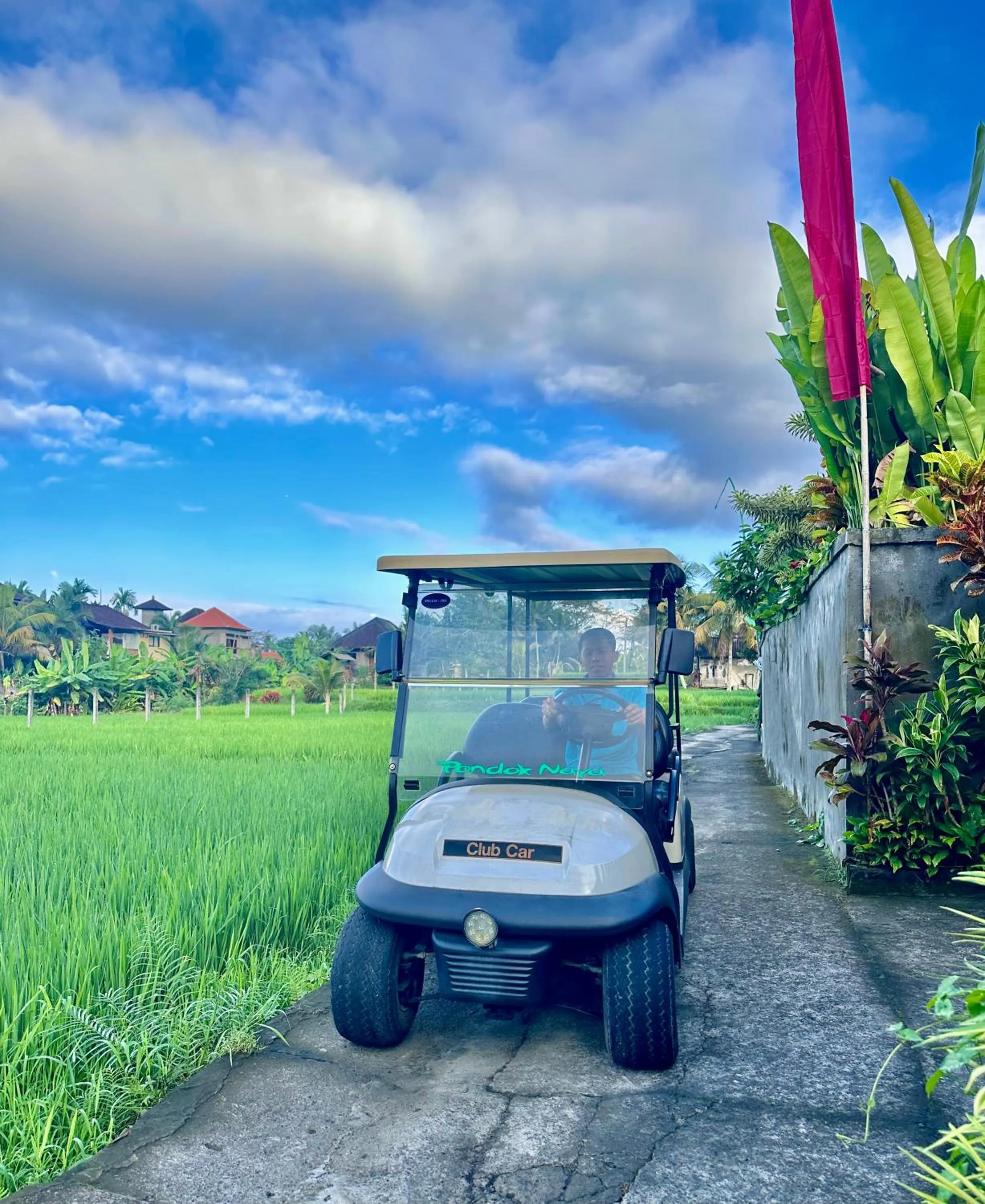 Natural landscape in Pondok Naya Ubud