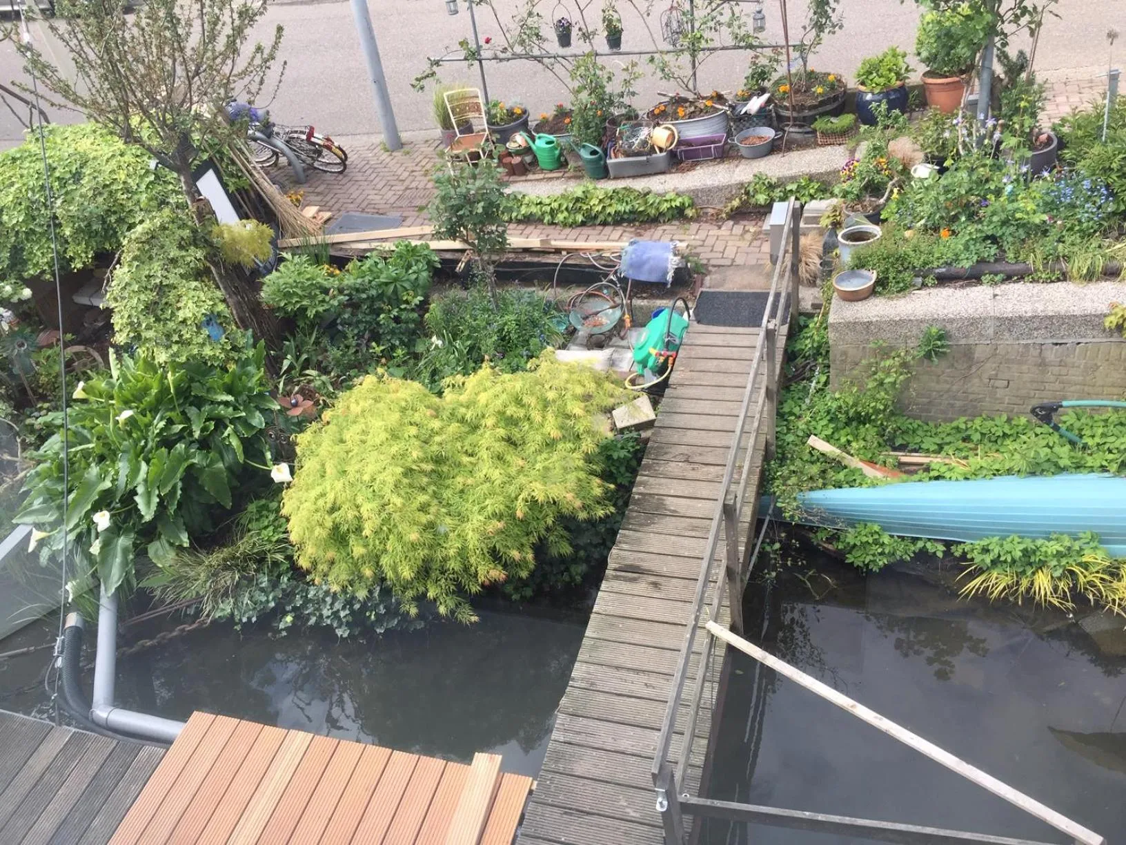 Garden view in Reiwa