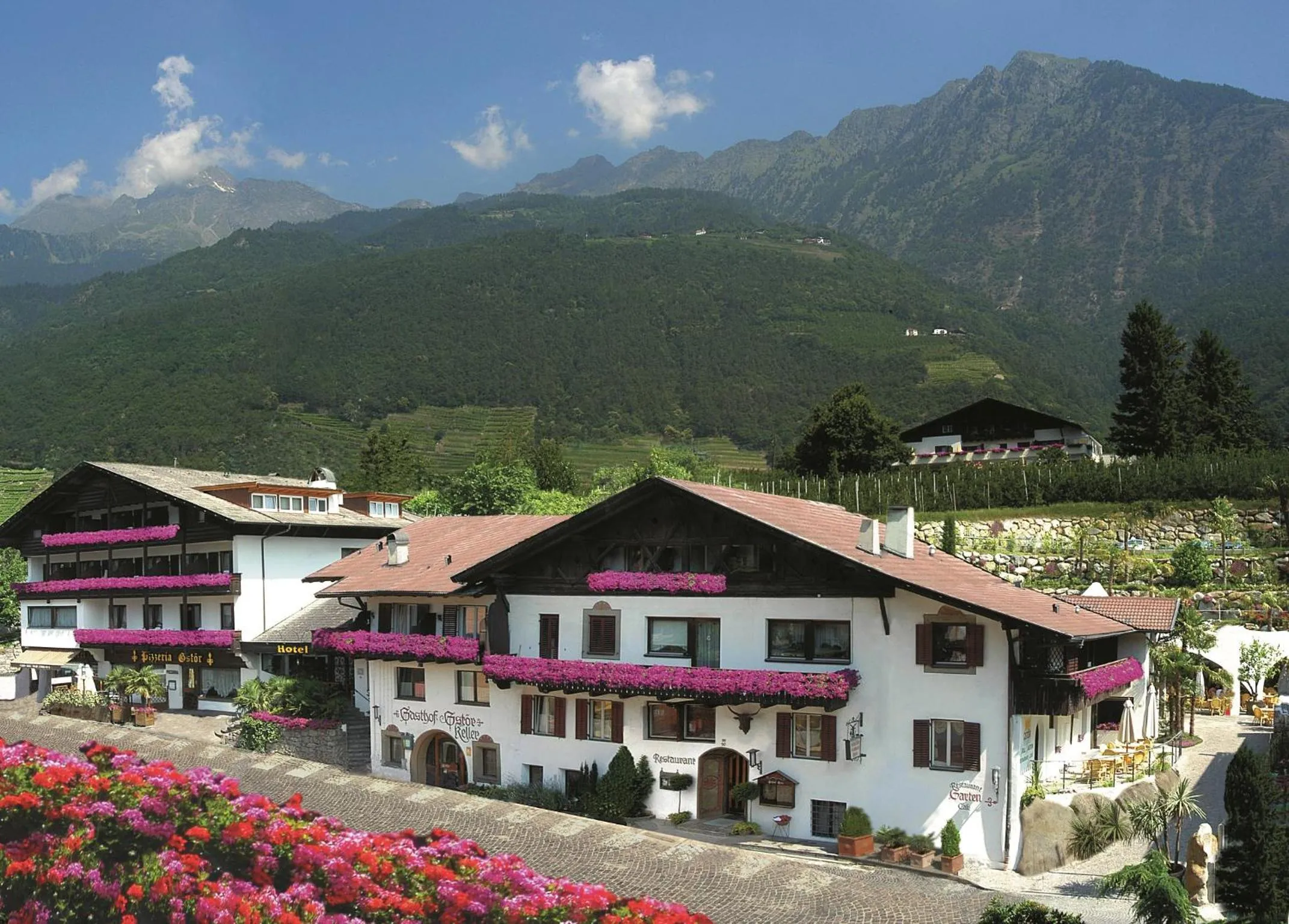 Facade/entrance in PALMENGARTEN Hotel Gstör