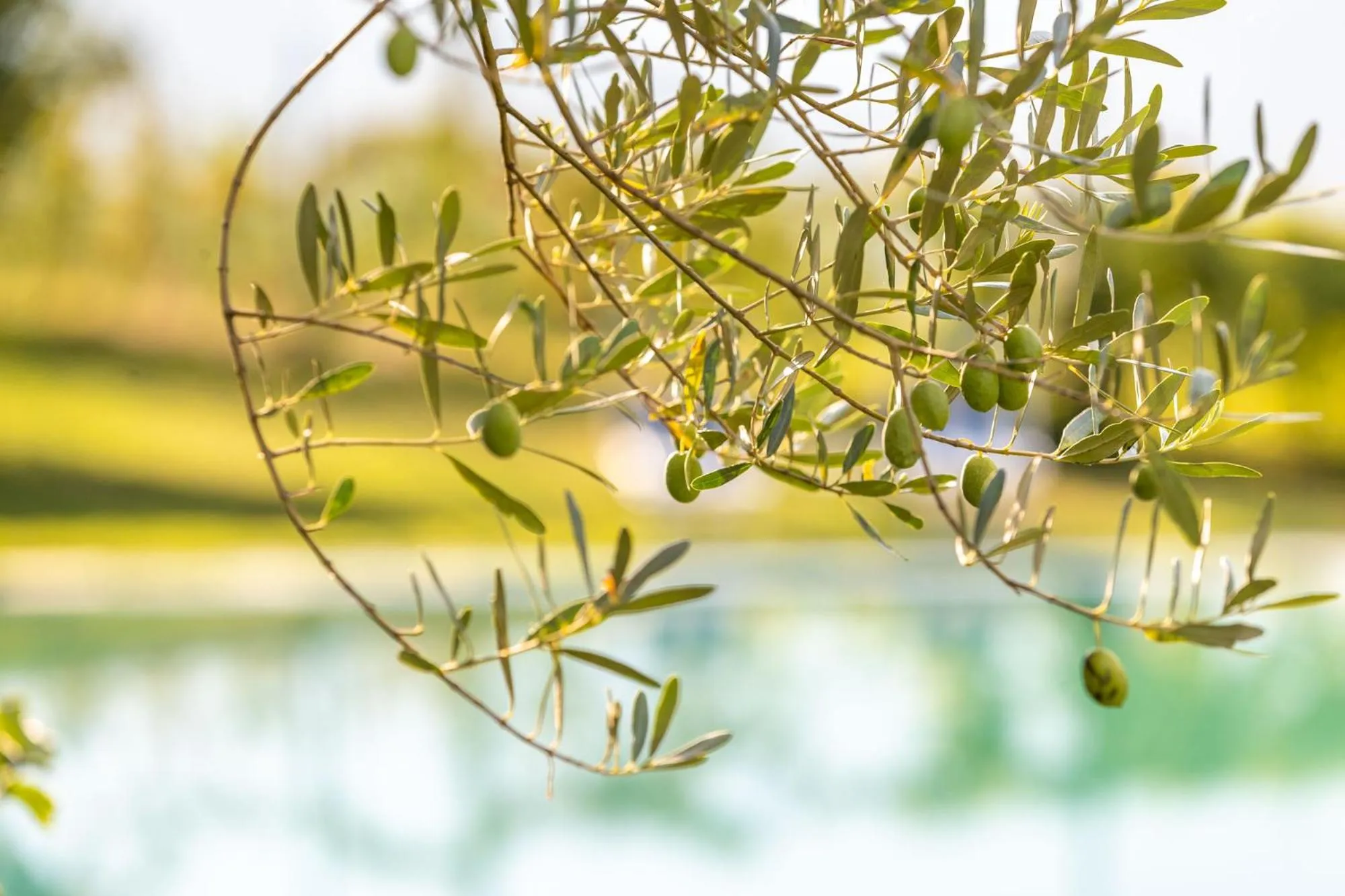 Decorative detail in PALMENGARTEN Hotel Gstör