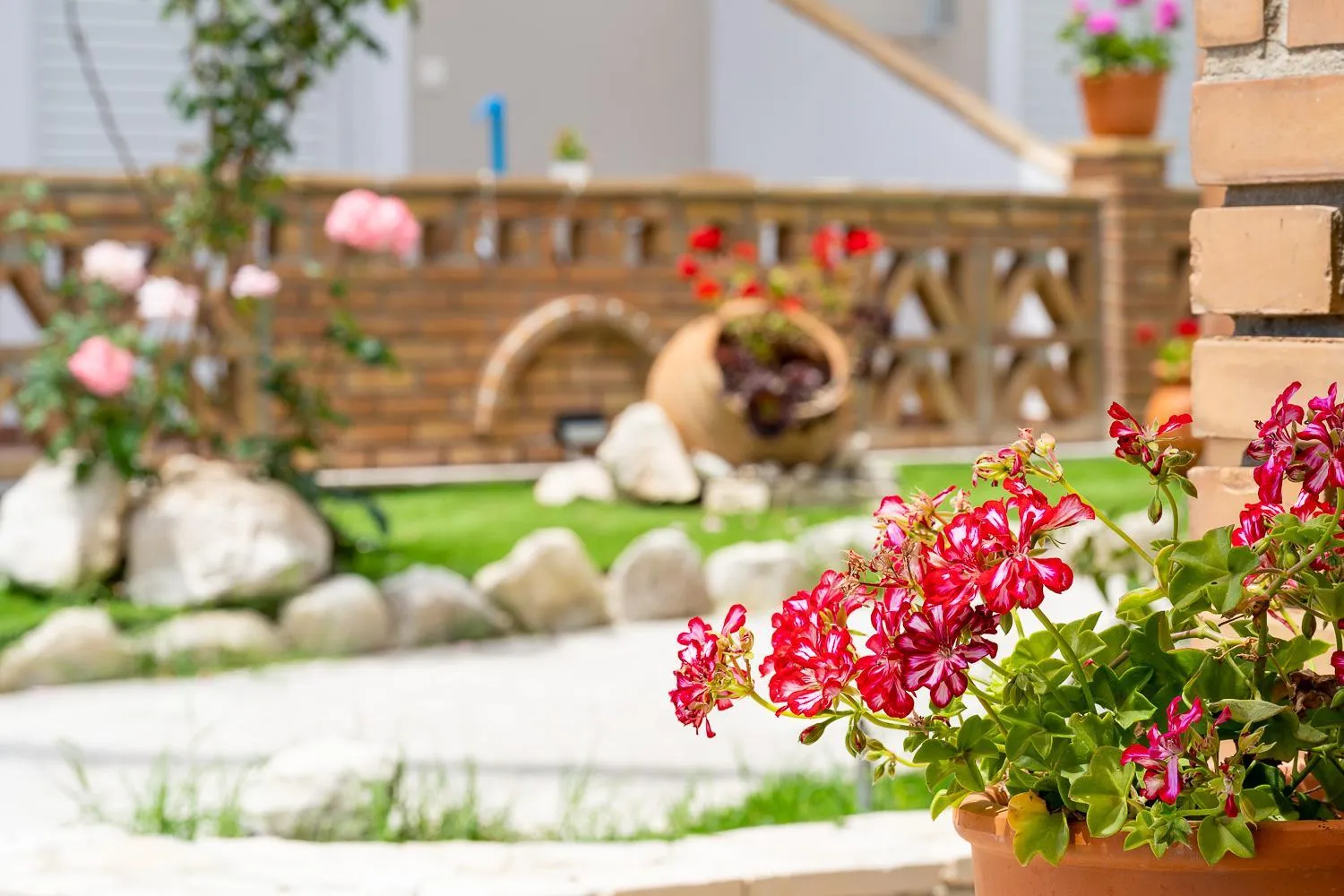 Garden in Asteri Studios