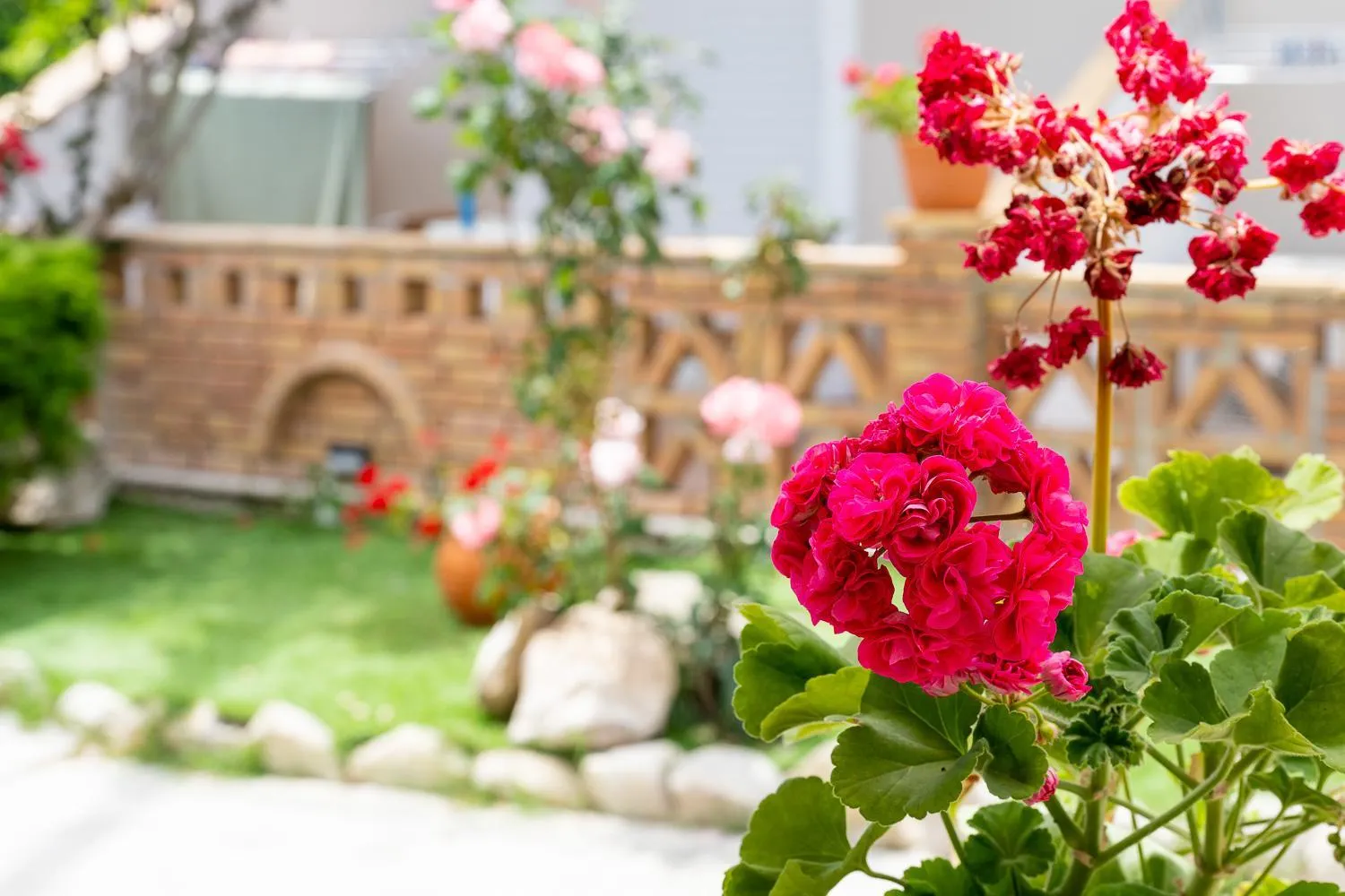 Property building in Asteri Studios