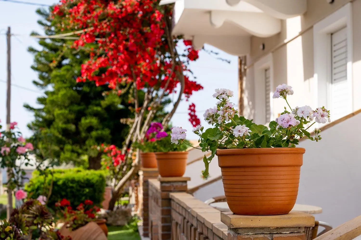 Patio in Asteri Studios