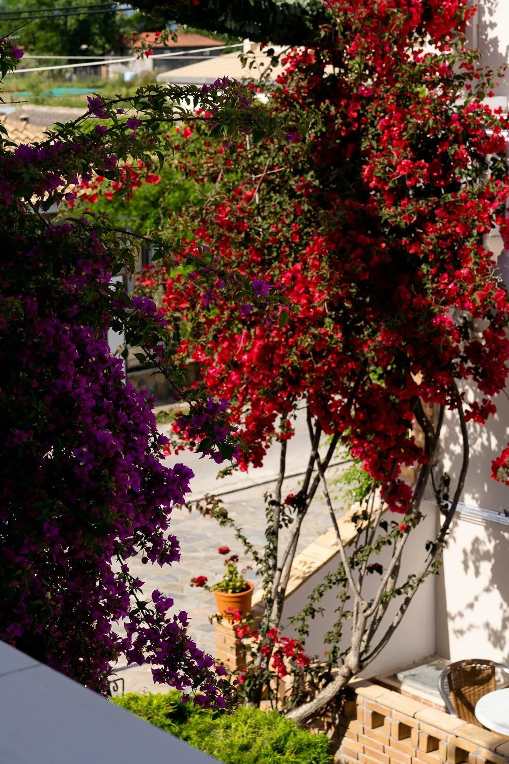 Balcony/Terrace in Asteri Studios