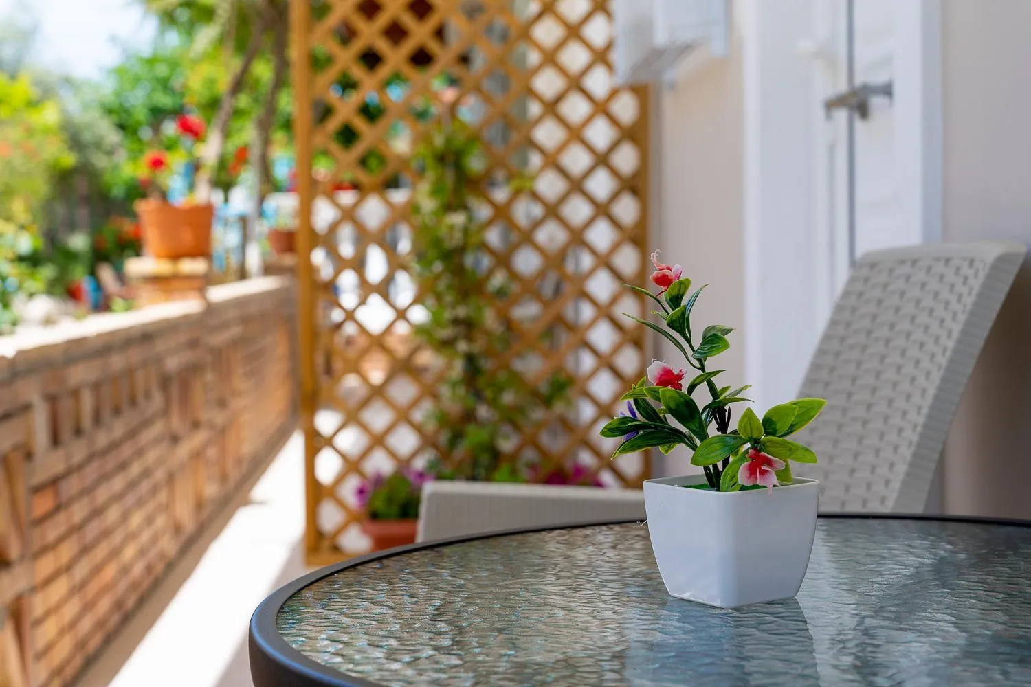 Patio in Asteri Studios