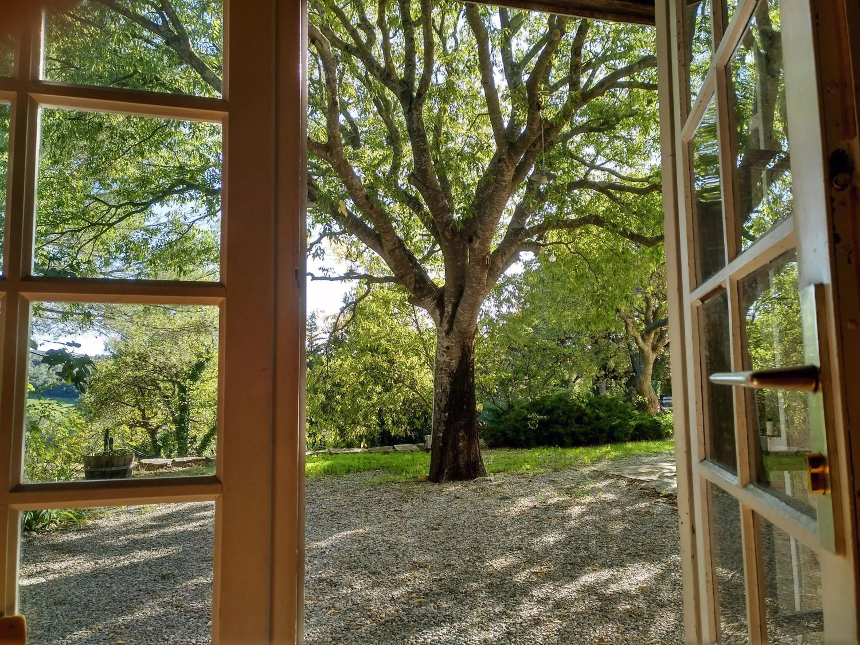 Garden view in Maison Catalina