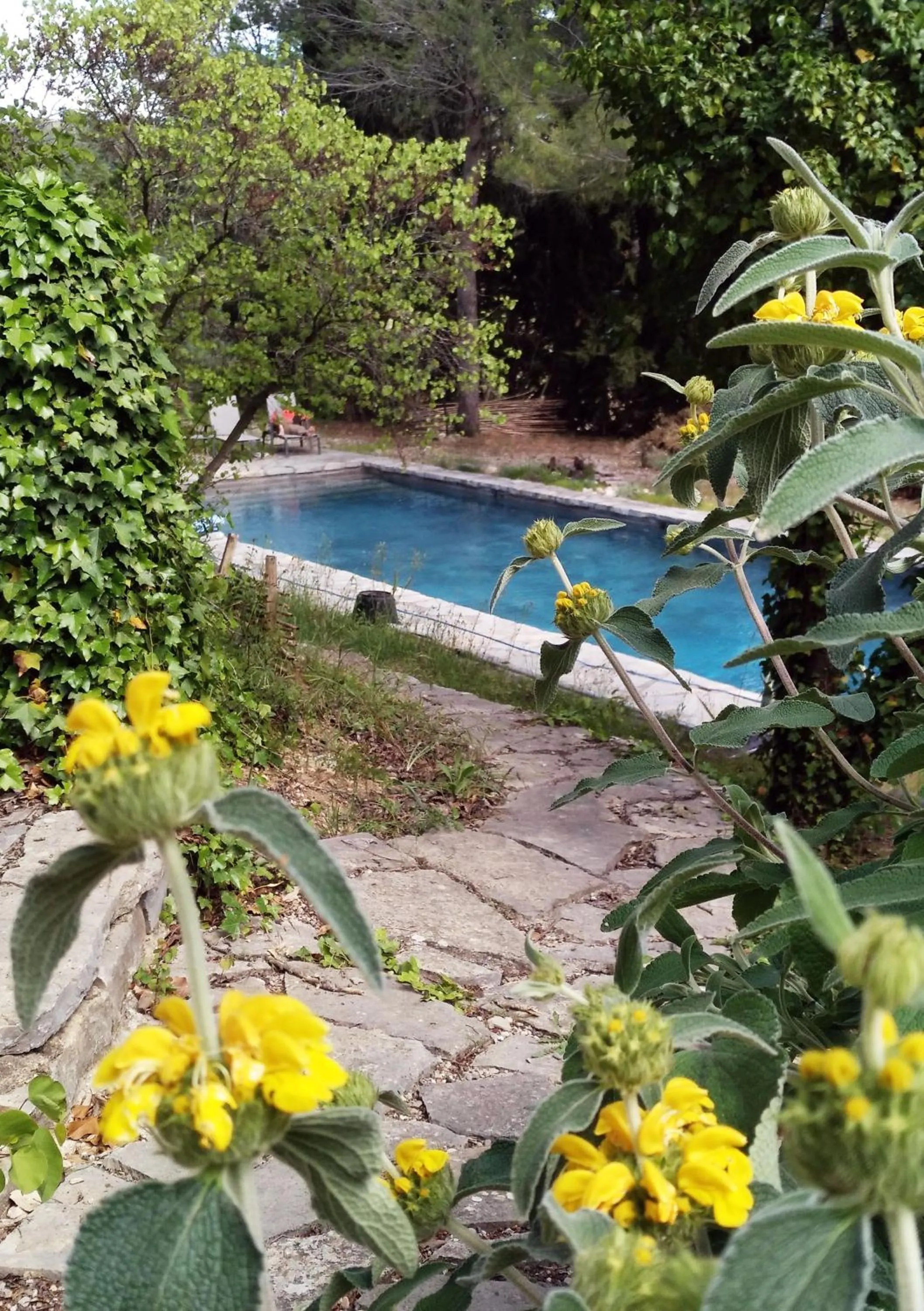 Garden in Maison Catalina