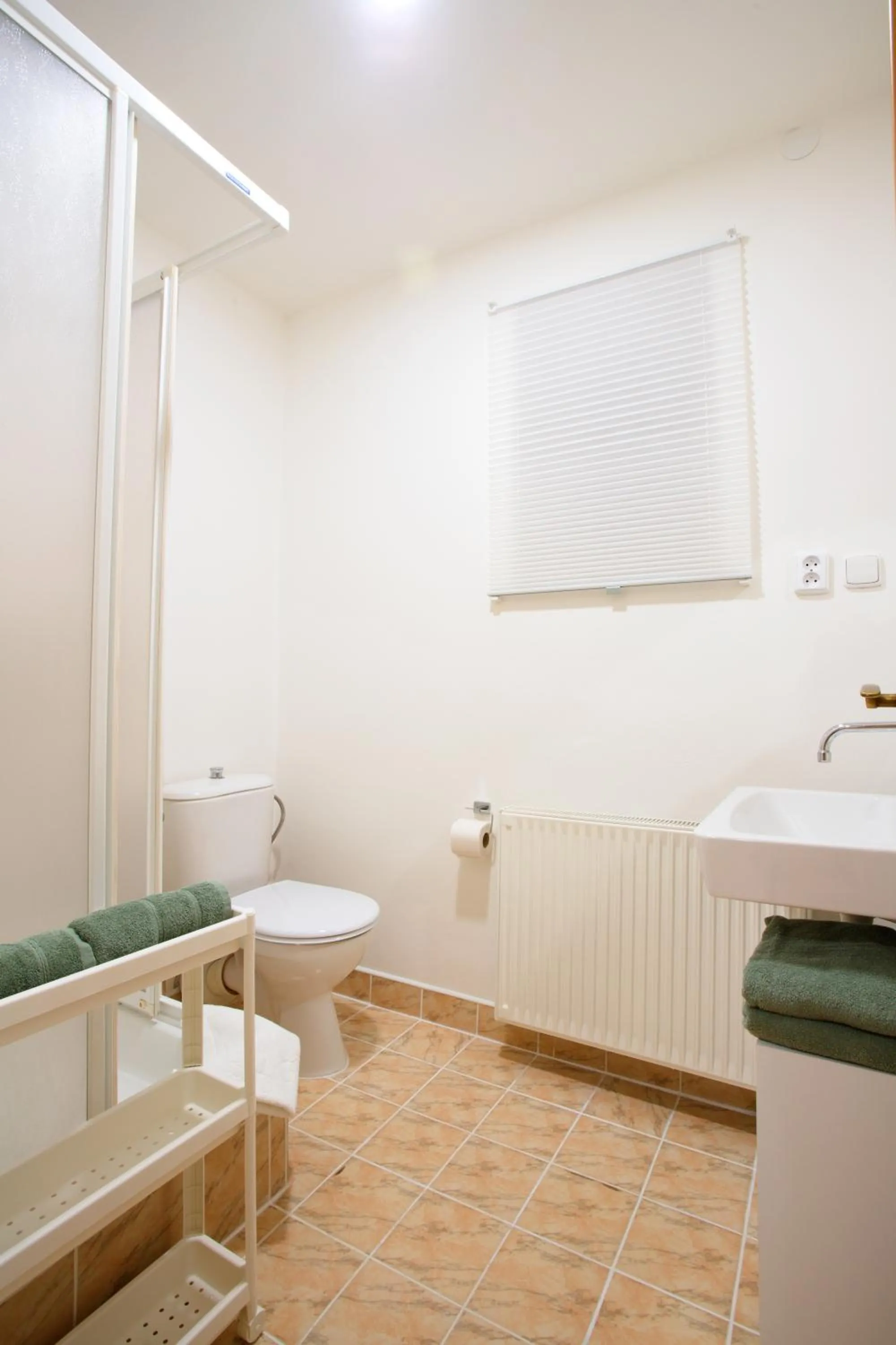 Shower in Apartmány Bramborka