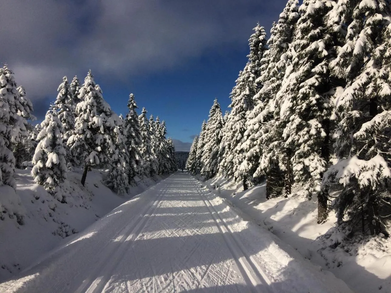 Skiing in Apartmány Bramborka