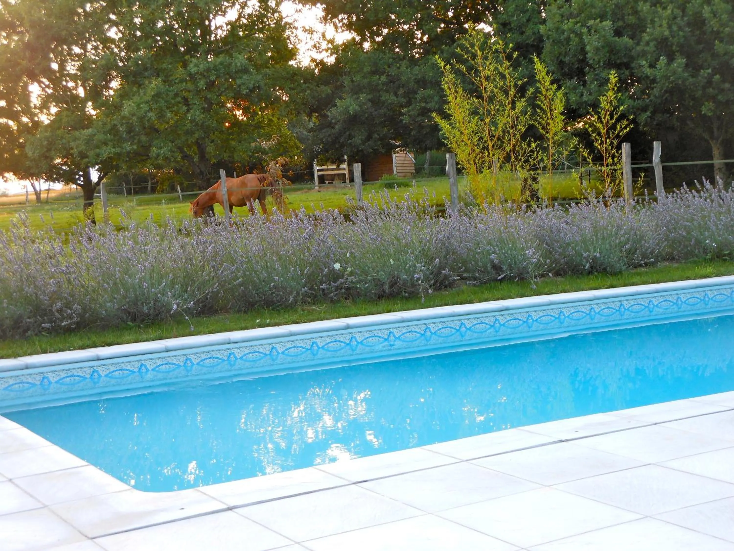 Swimming pool in Auberge de la Tuilerie