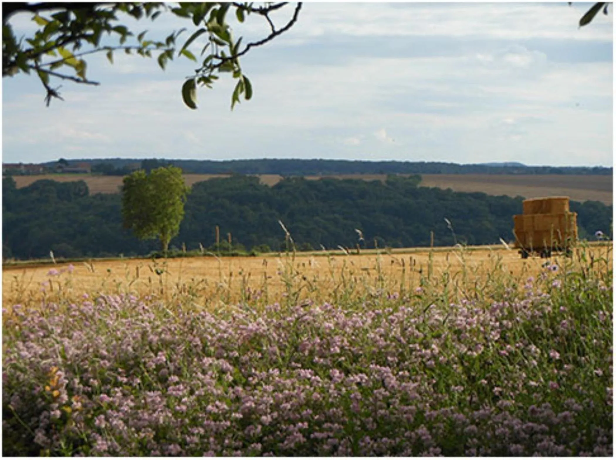 Auberge de la Tuilerie